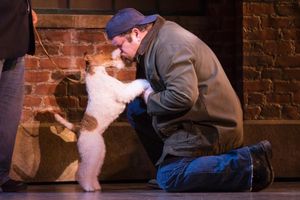 Daniel Stewart Sherman @ BroadwayWorld Daniel Stewart Sherman Photo