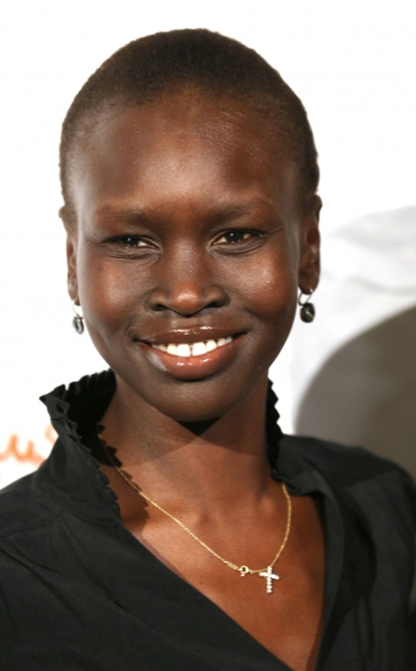 Photo Coverage: Patina Miller, Cynthia Nixon, Charl Brown & More Attend Rush HeARTS Education Luncheon  Image