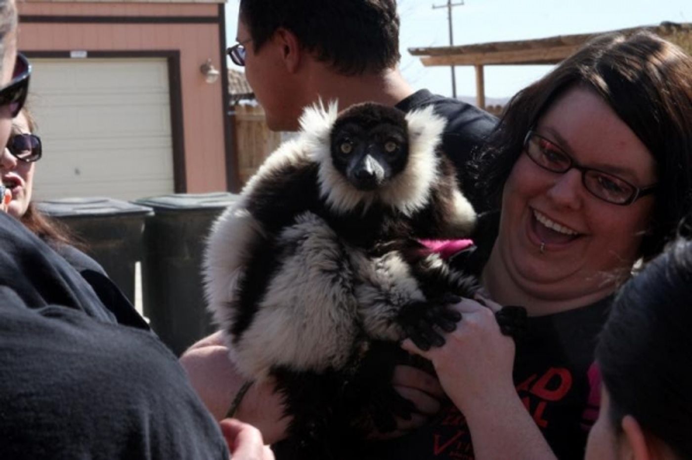 Photo Flash: Cast of EVIL DEAD THE MUSICAL Plays with Animals at Private Moapa Sanctuary Photo Flash: Cast of EVIL DEAD THE MUSICAL Plays with Animals at Private Moapa Sanctuary Image