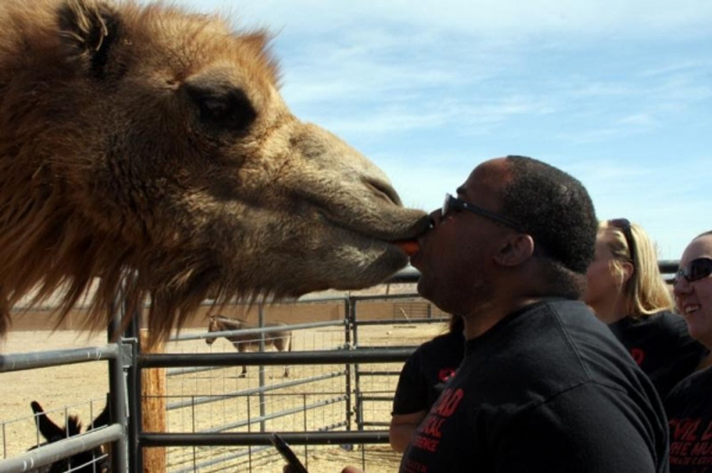 Photo Flash: Cast of EVIL DEAD THE MUSICAL Plays with Animals at Private Moapa Sanctuary Photo Flash: Cast of EVIL DEAD THE MUSICAL Plays with Animals at Private Moapa Sanctuary Image