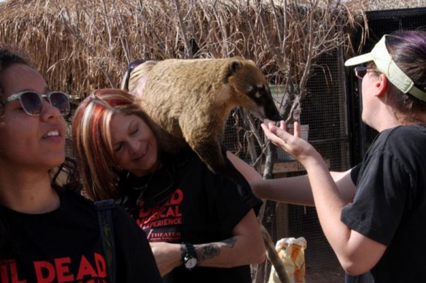 Photo Flash: Cast of EVIL DEAD THE MUSICAL Plays with Animals at Private Moapa Sanctuary Photo Flash: Cast of EVIL DEAD THE MUSICAL Plays with Animals at Private Moapa Sanctuary Image
