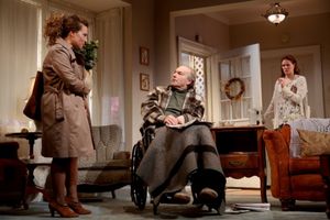 Hannah Bos, Peter Friedman, Carolyn McCormick Photo