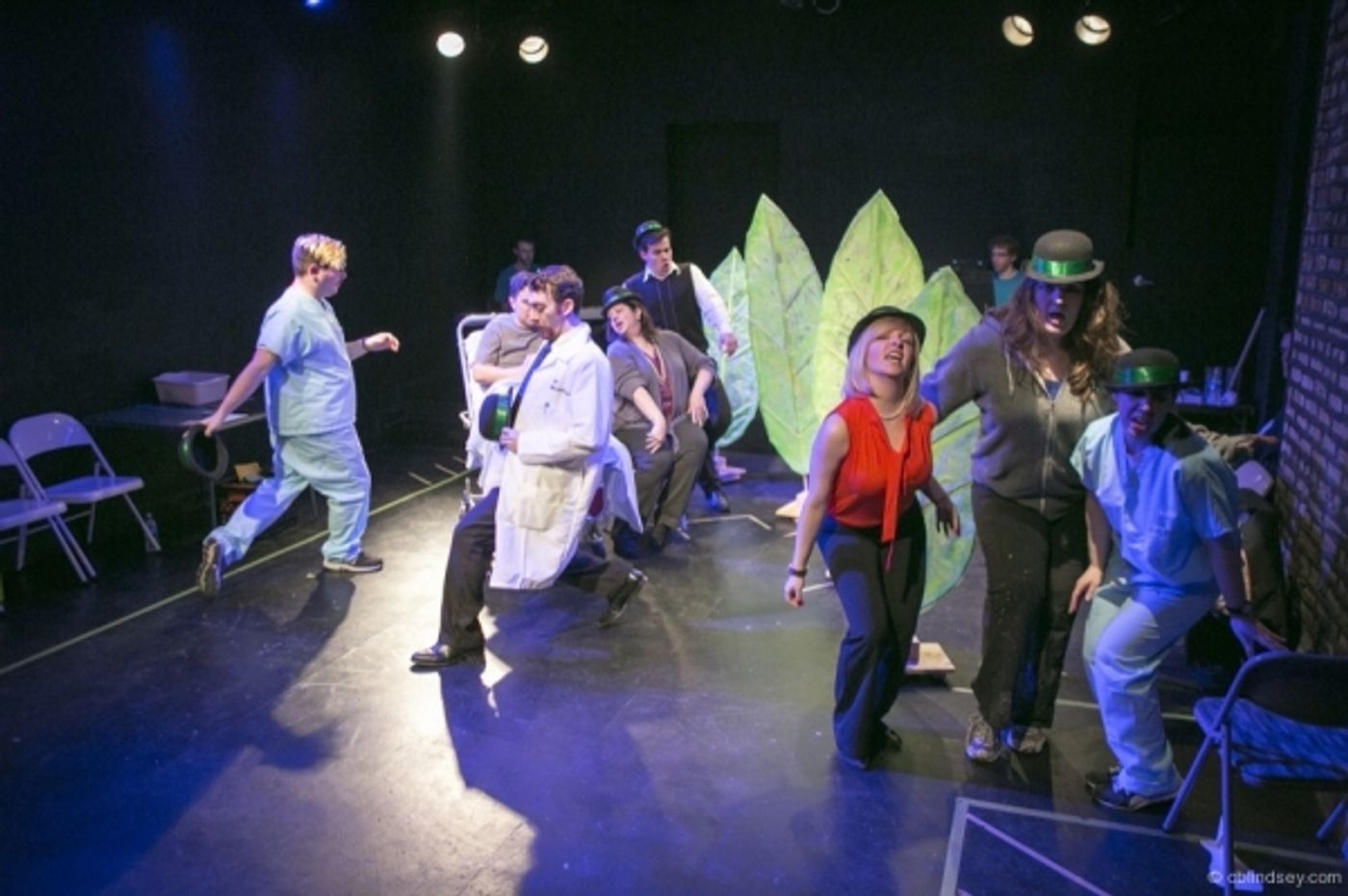 Photo Flash: First Look at The Brown Paper Box Co.'s A NEW BRAIN  Image