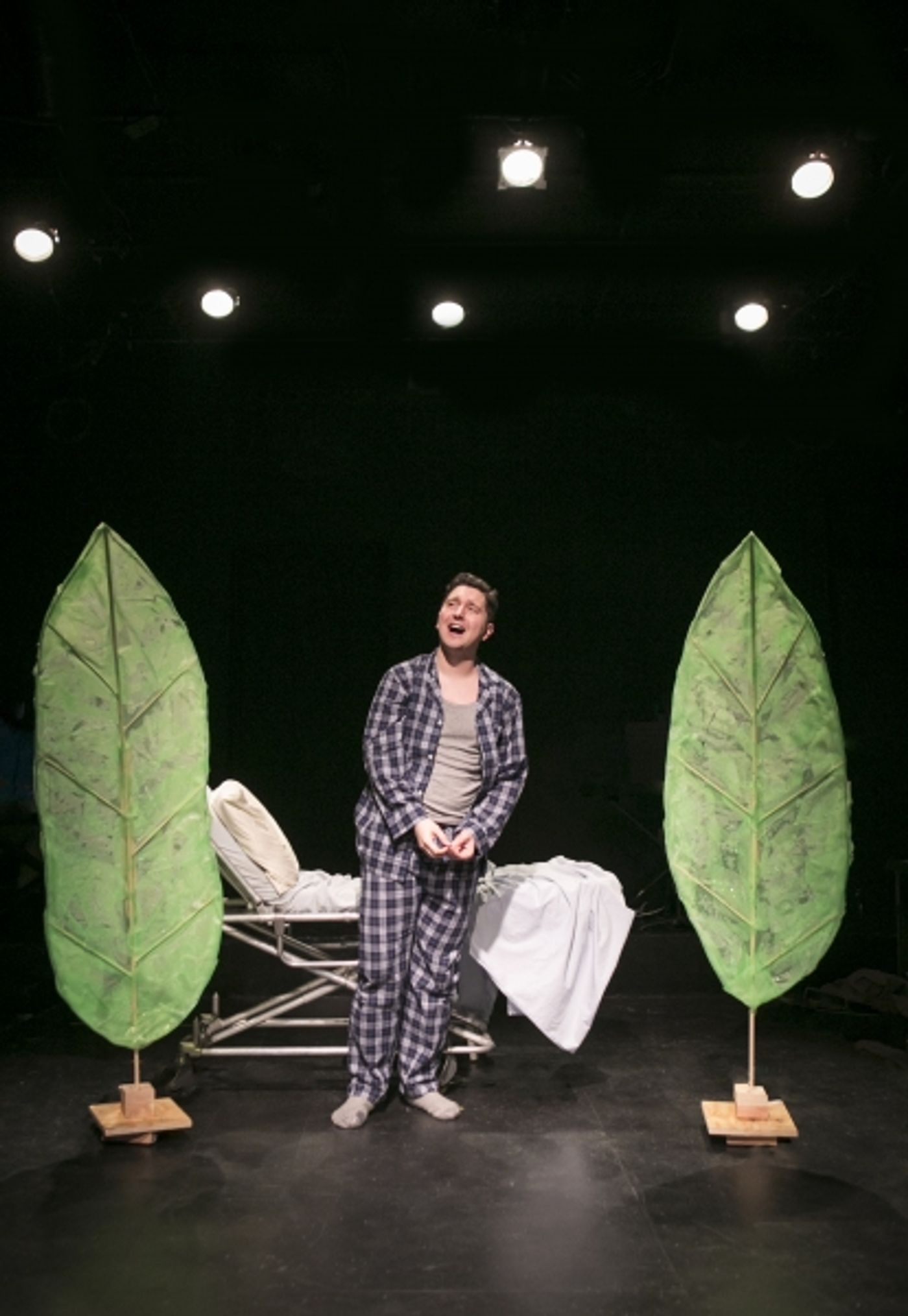 Photo Flash: First Look at The Brown Paper Box Co.'s A NEW BRAIN  Image