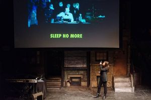 Diane Paulu @ BroadwayWorld Diane Paulu Photo