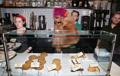 Employees with Jason Jacoby & Trekkie Monster Photo
