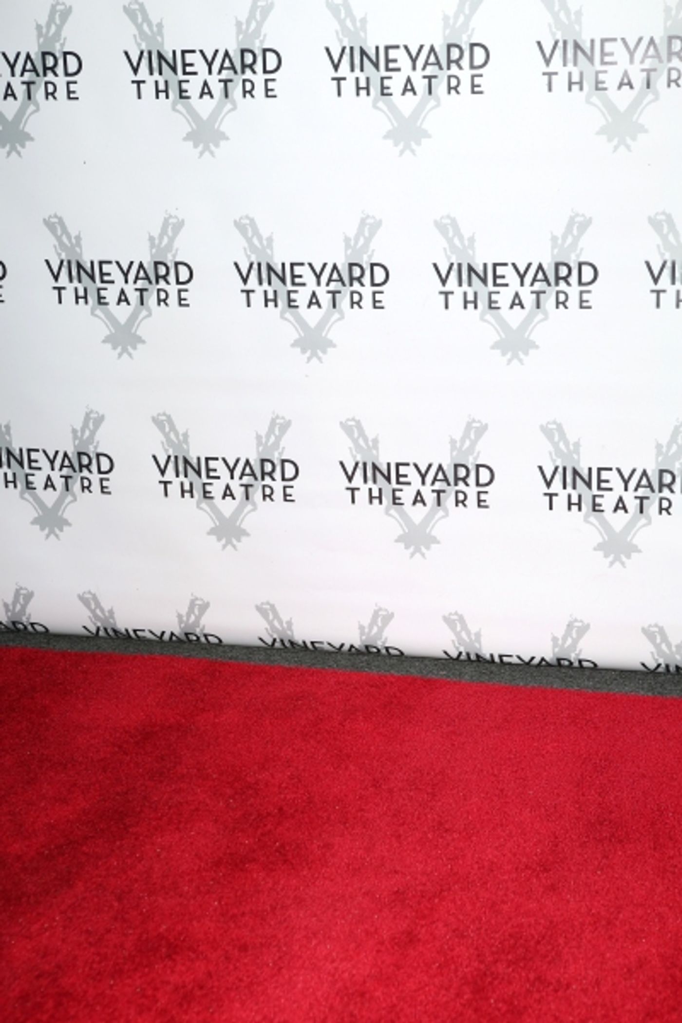 Photo Coverage: Inside Opening Night of Vineyard Theatre's ARLINGTON  Image