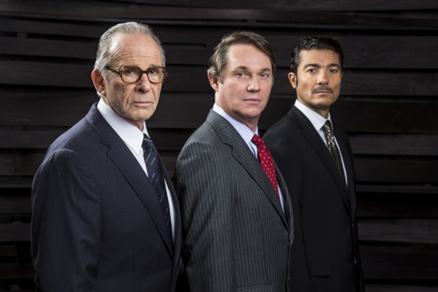 Photo Flash: Meet the Cast of Arena Stage's CAMP DAVID - Hallie Foote, Khaled Nabawy, Ron Rifkin and Richard Thomas! Photo Flash: Meet the Cast of Arena Stage's CAMP DAVID - Hallie Foote, Khaled Nabawy, Ron Rifkin and Richard Thomas! Image