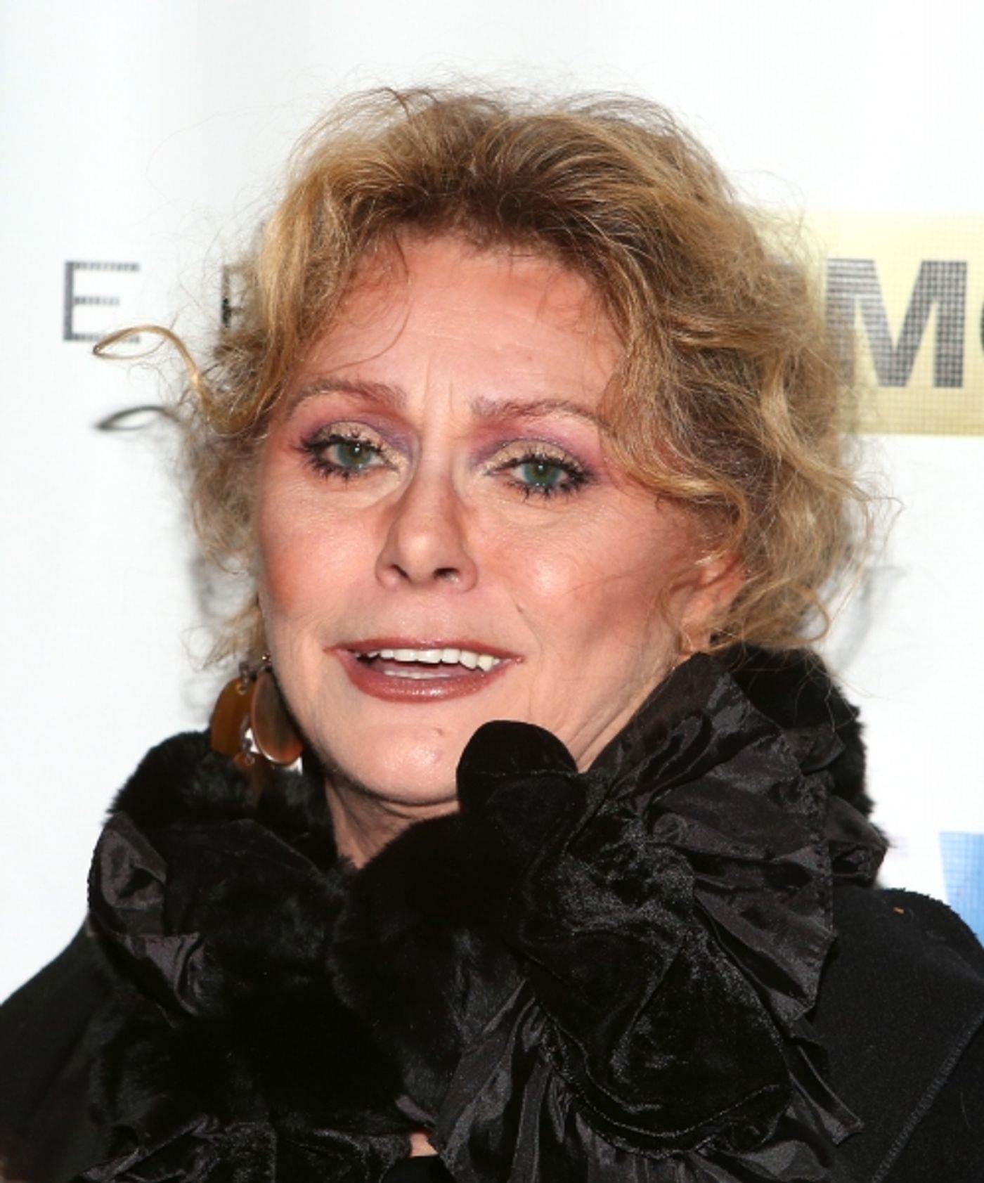 Photo Coverage: ALL THE WAY's Opening Night Red Carpet with Diane Paulus, Chris O'Dowd, Tracy Letts & More  Image