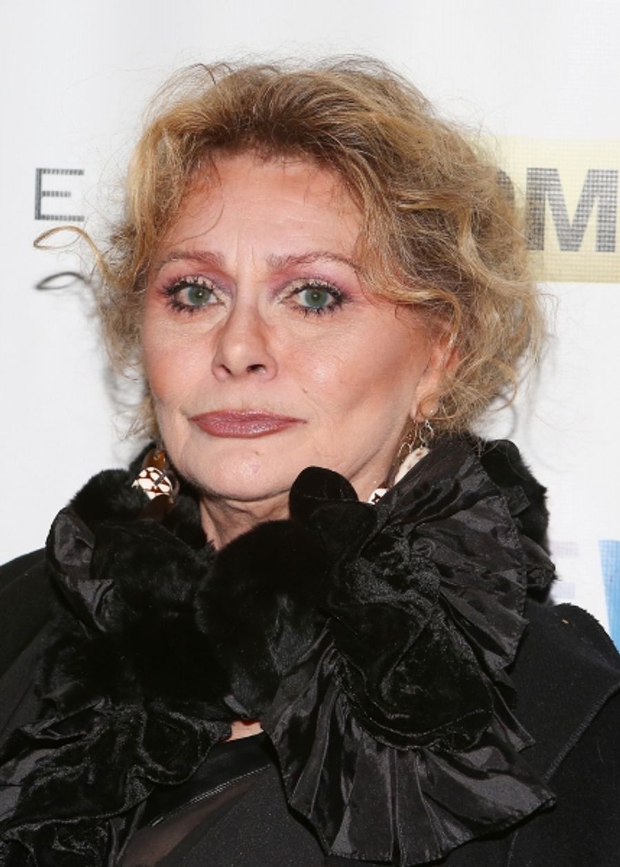 Photo Coverage: ALL THE WAY's Opening Night Red Carpet with Diane Paulus, Chris O'Dowd, Tracy Letts & More Image