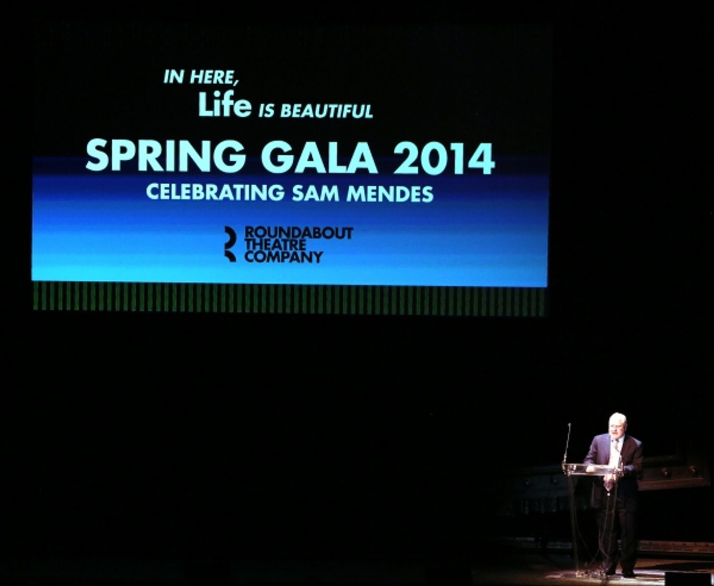 Photo Coverage: Bernadette Peters, Liam Neeson, & Alan Cumming & More Salute Sam Mendes at Roundabout Gala!  Image