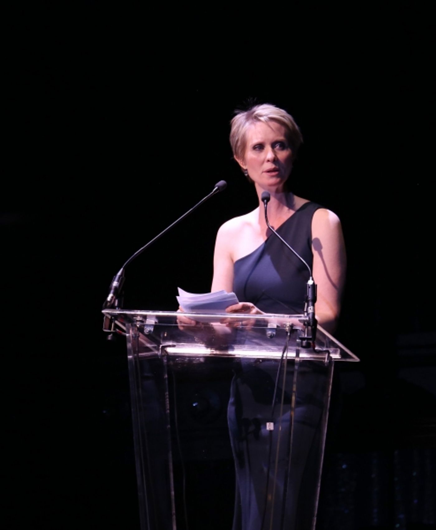 Photo Coverage: Bernadette Peters, Liam Neeson, & Alan Cumming & More Salute Sam Mendes at Roundabout Gala!  Image