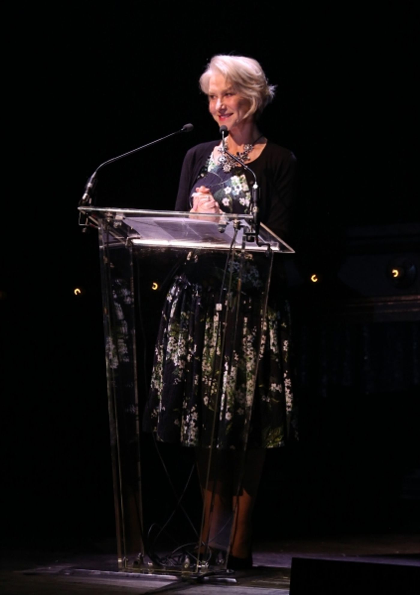 Photo Coverage: Bernadette Peters, Liam Neeson, & Alan Cumming & More Salute Sam Mendes at Roundabout Gala!  Image