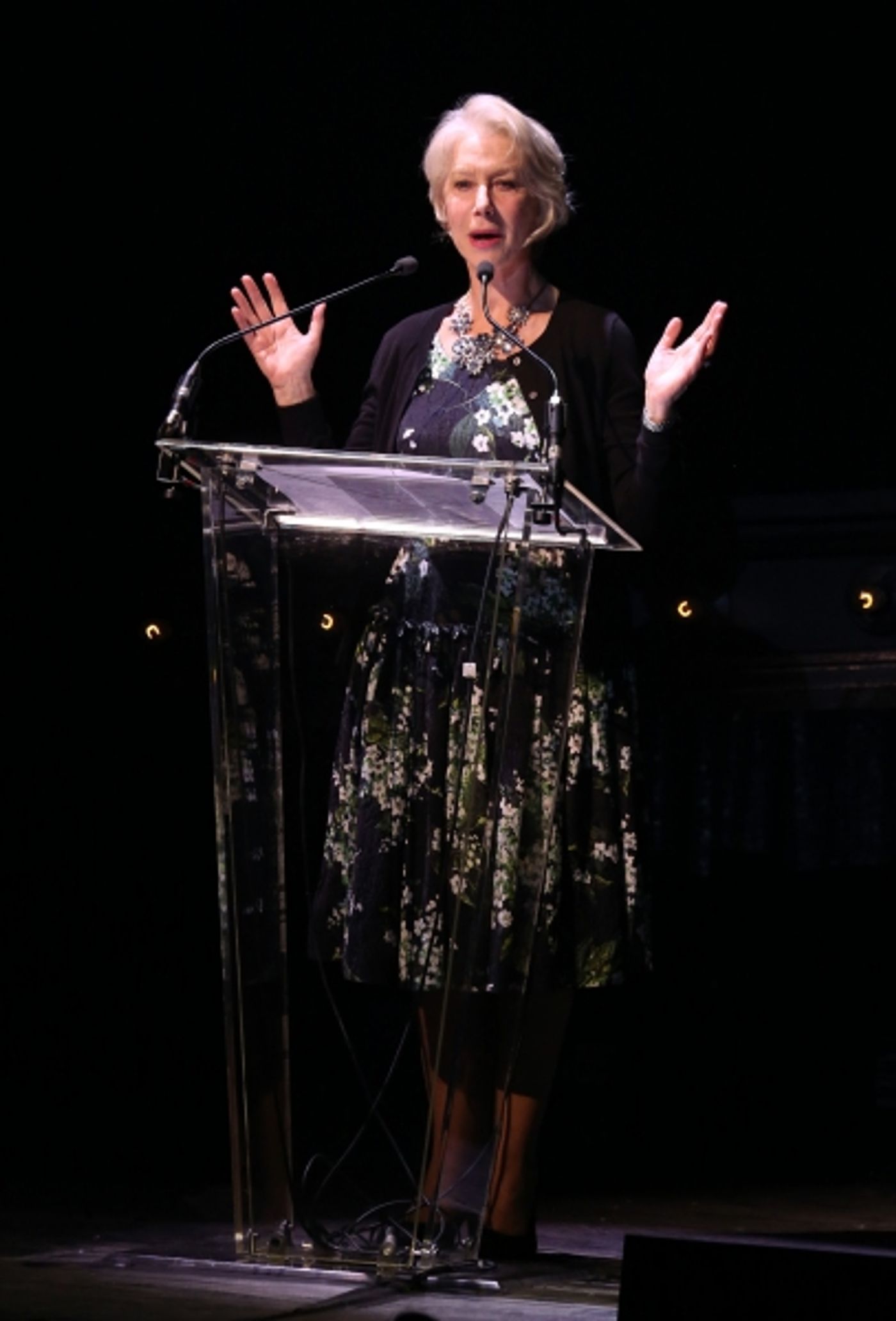 Photo Coverage: Bernadette Peters, Liam Neeson, & Alan Cumming & More Salute Sam Mendes at Roundabout Gala!  Image