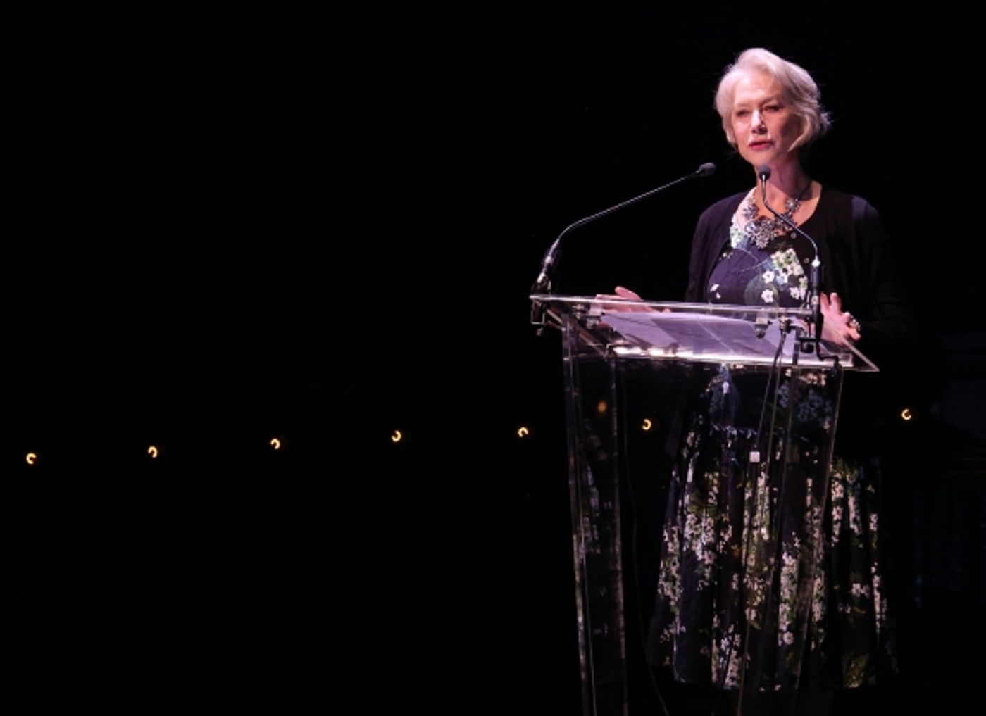 Photo Coverage: Bernadette Peters, Liam Neeson, & Alan Cumming & More Salute Sam Mendes at Roundabout Gala!  Image