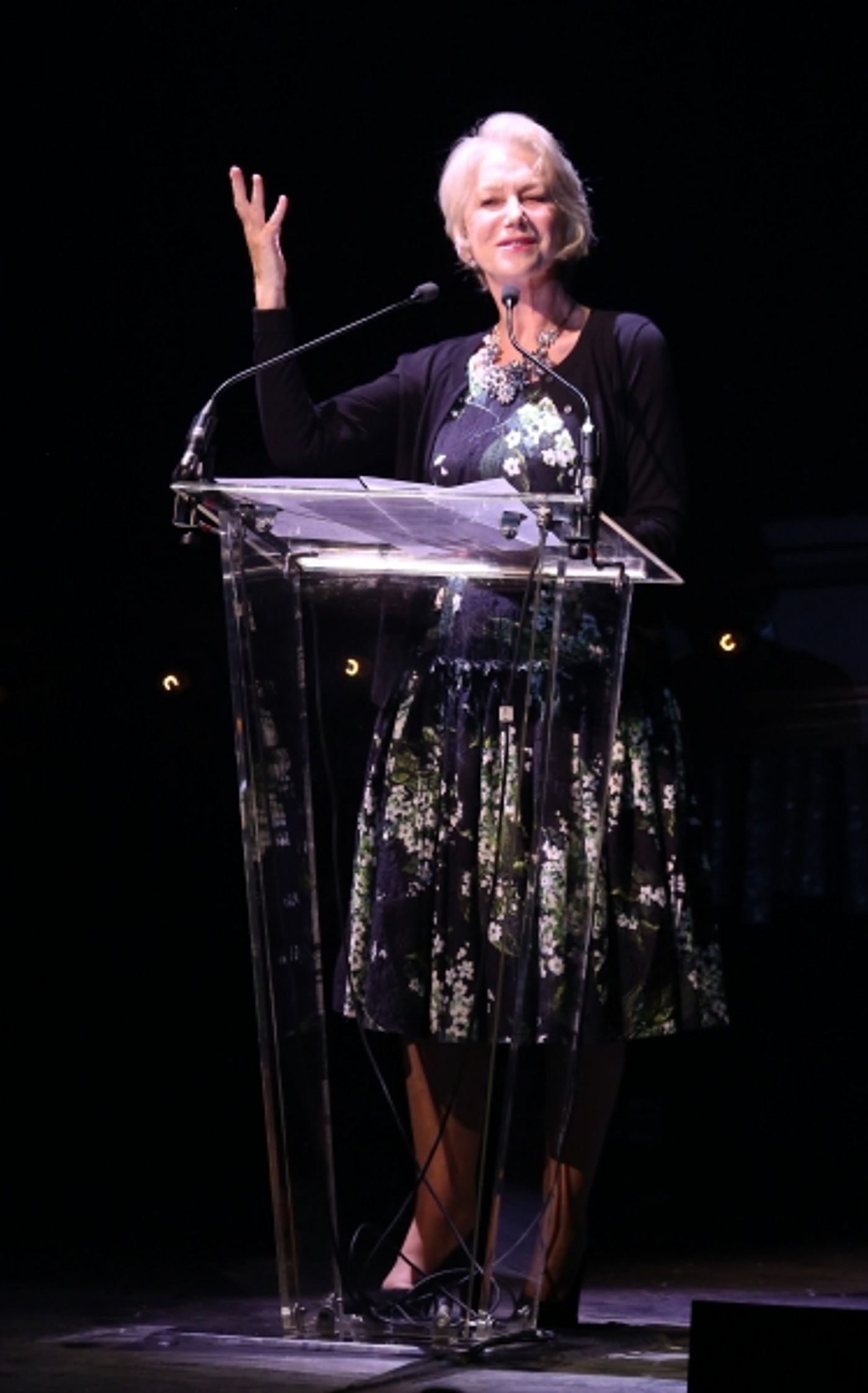 Photo Coverage: Bernadette Peters, Liam Neeson, & Alan Cumming & More Salute Sam Mendes at Roundabout Gala!  Image