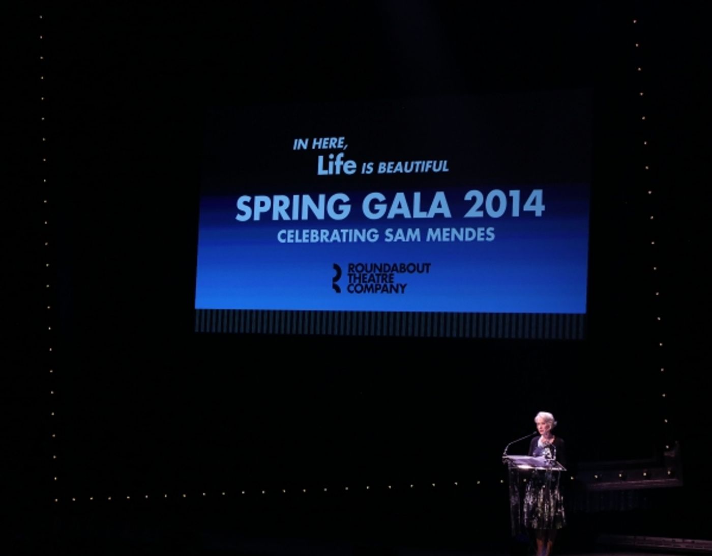 Photo Coverage: Bernadette Peters, Liam Neeson, & Alan Cumming & More Salute Sam Mendes at Roundabout Gala!  Image