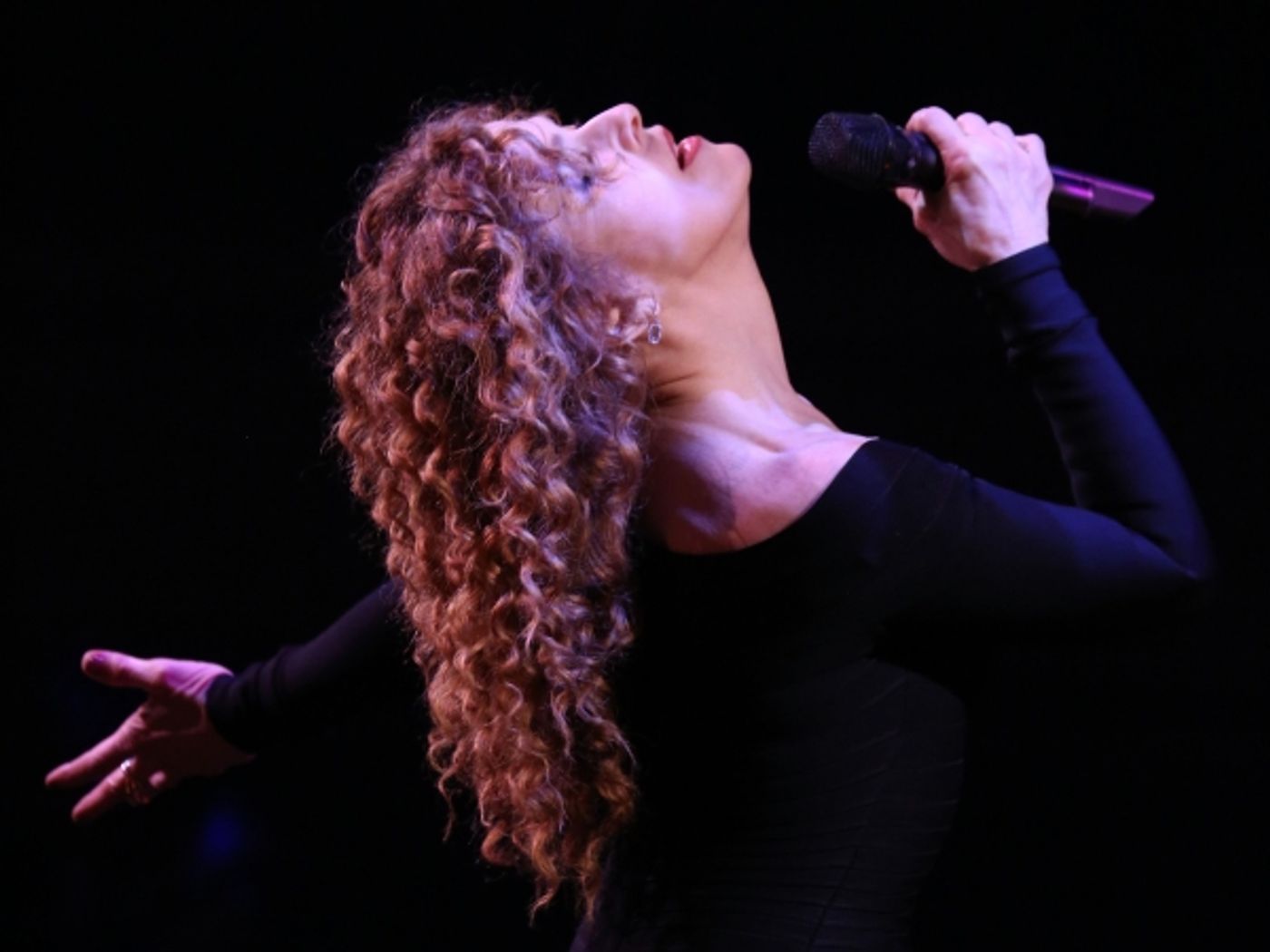 Photo Coverage: Bernadette Peters, Liam Neeson, & Alan Cumming & More Salute Sam Mendes at Roundabout Gala!  Image