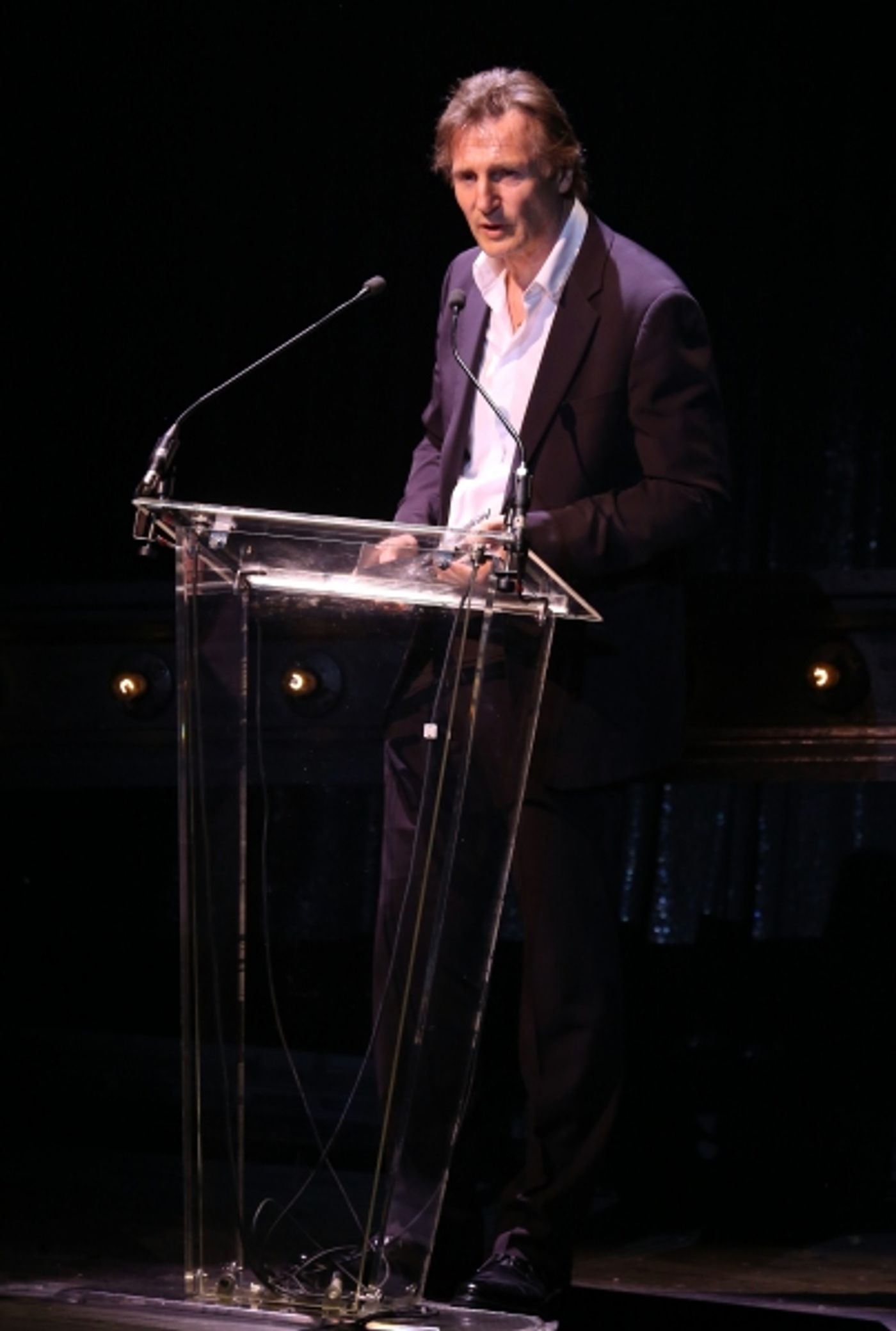 Photo Coverage: Bernadette Peters, Liam Neeson, & Alan Cumming & More Salute Sam Mendes at Roundabout Gala!  Image