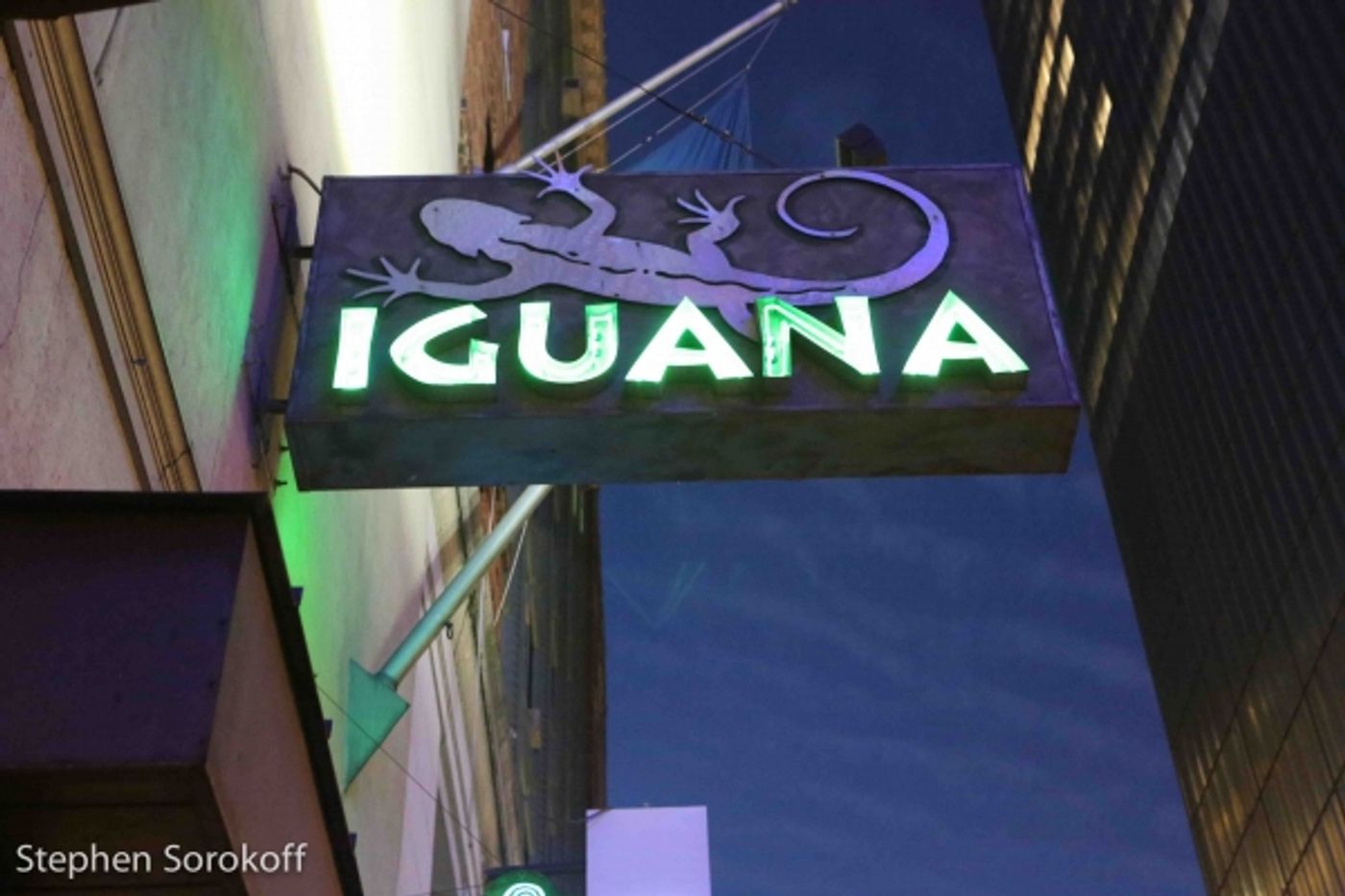 Photo Coverage: Vince Giordano & the Nighthawks Play the Iguana Photo Coverage: Vince Giordano & the Nighthawks Play the Iguana Image