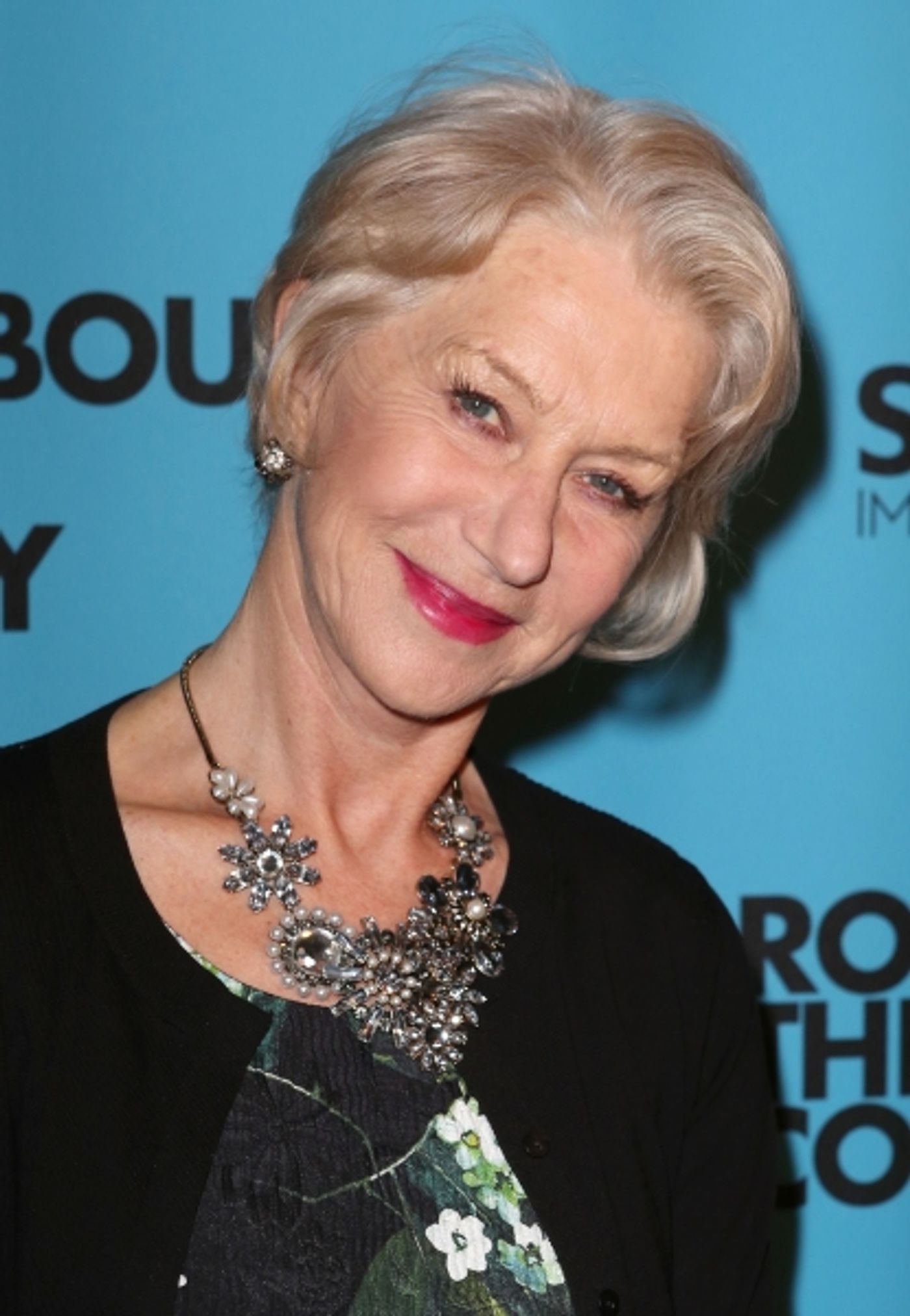 Photo Coverage: On the Red Carpet with Helen Mirren, Jeremy Irons & More at the Roundabout Spring Gala  Image