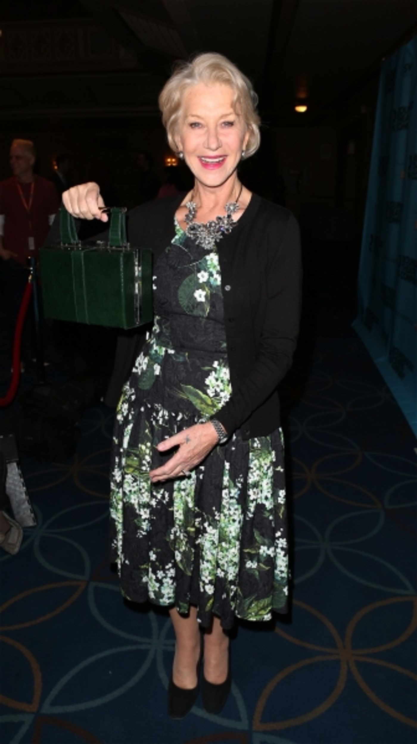 Photo Coverage: On the Red Carpet with Helen Mirren, Jeremy Irons & More at the Roundabout Spring Gala  Image