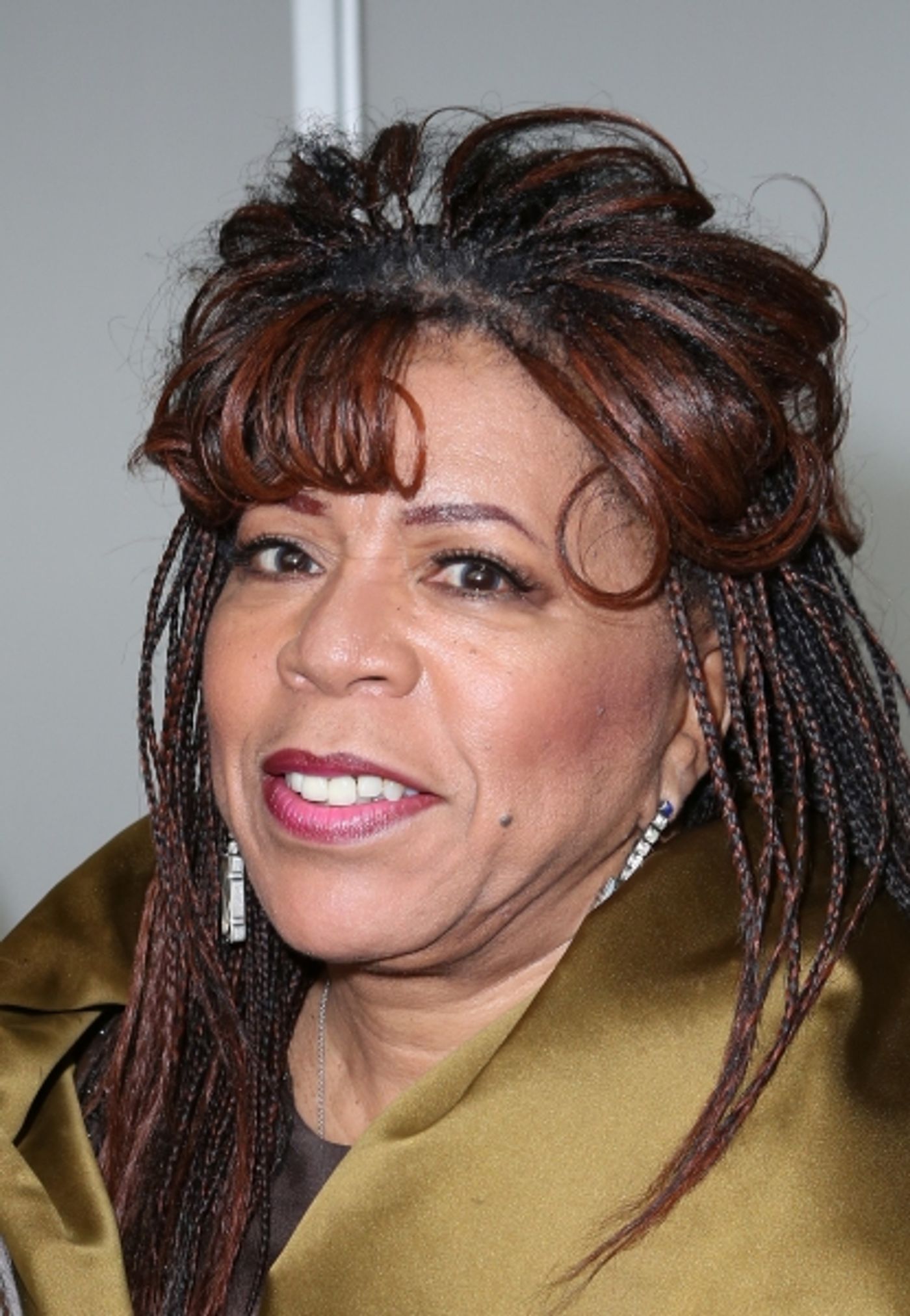 Photo Coverage: On the Red Carpet at the New Federal Theatre's 44th Anniversary Gala  Image