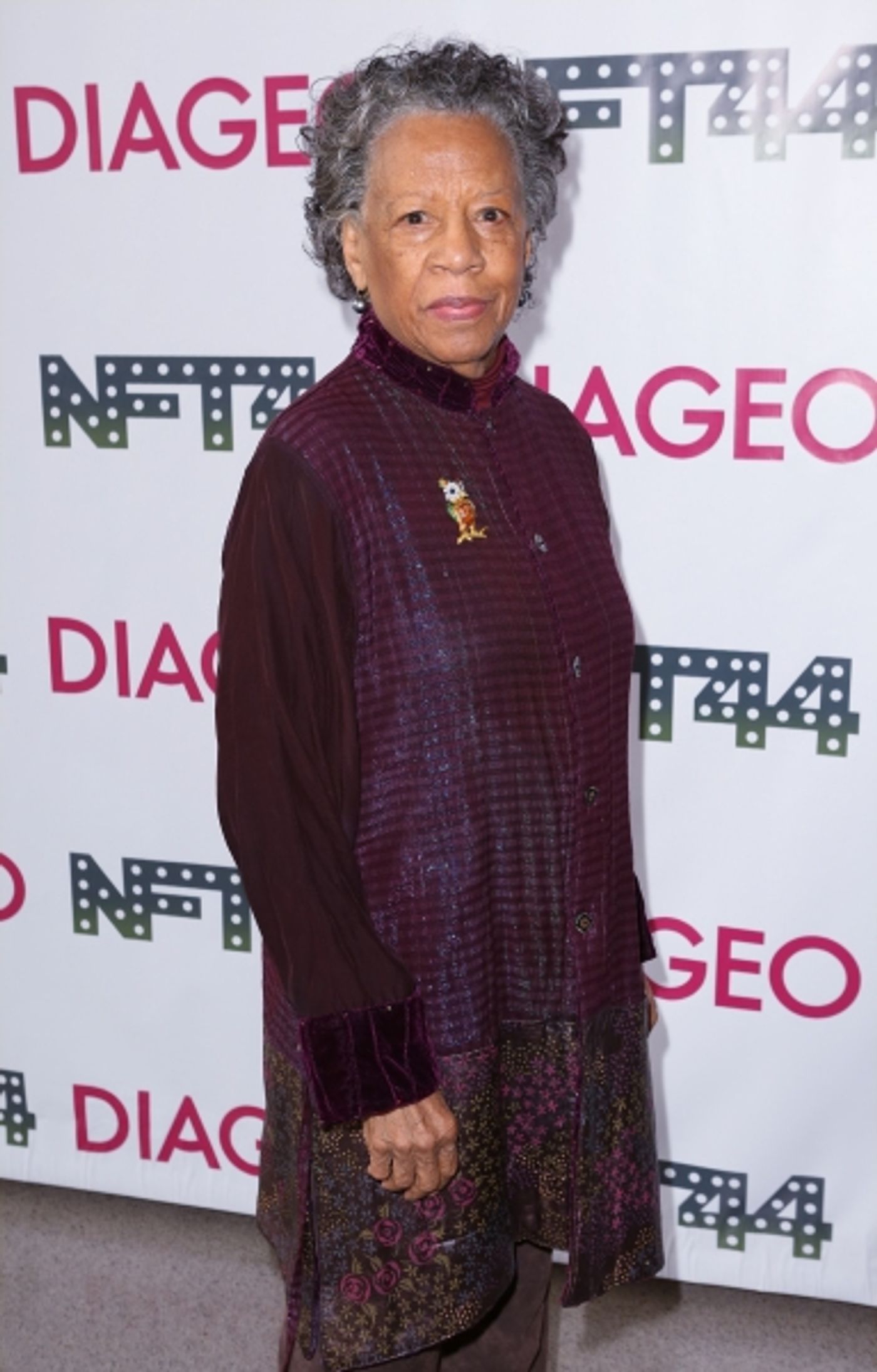 Photo Coverage: On the Red Carpet at the New Federal Theatre's 44th Anniversary Gala  Image