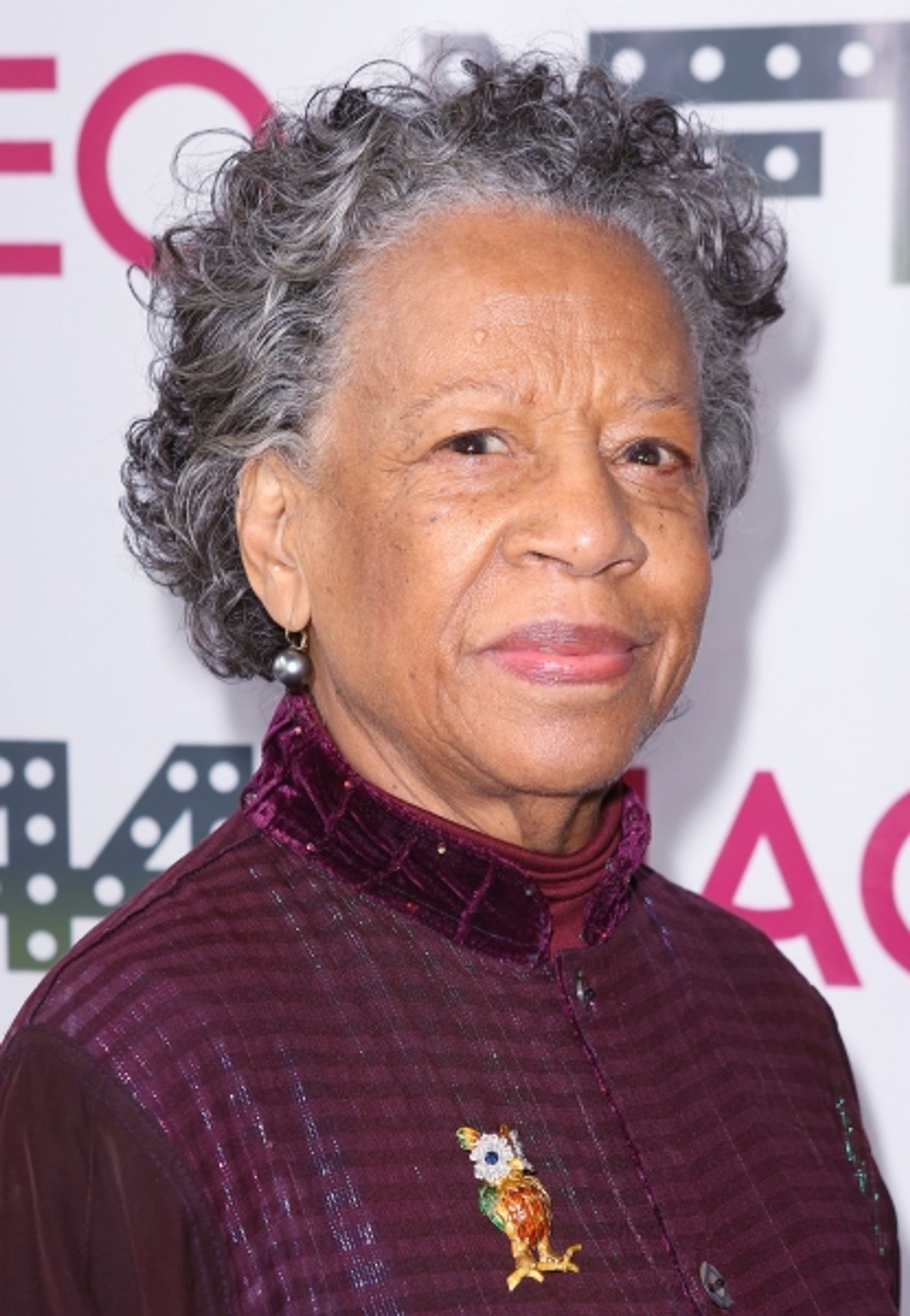 Photo Coverage: On the Red Carpet at the New Federal Theatre's 44th Anniversary Gala  Image