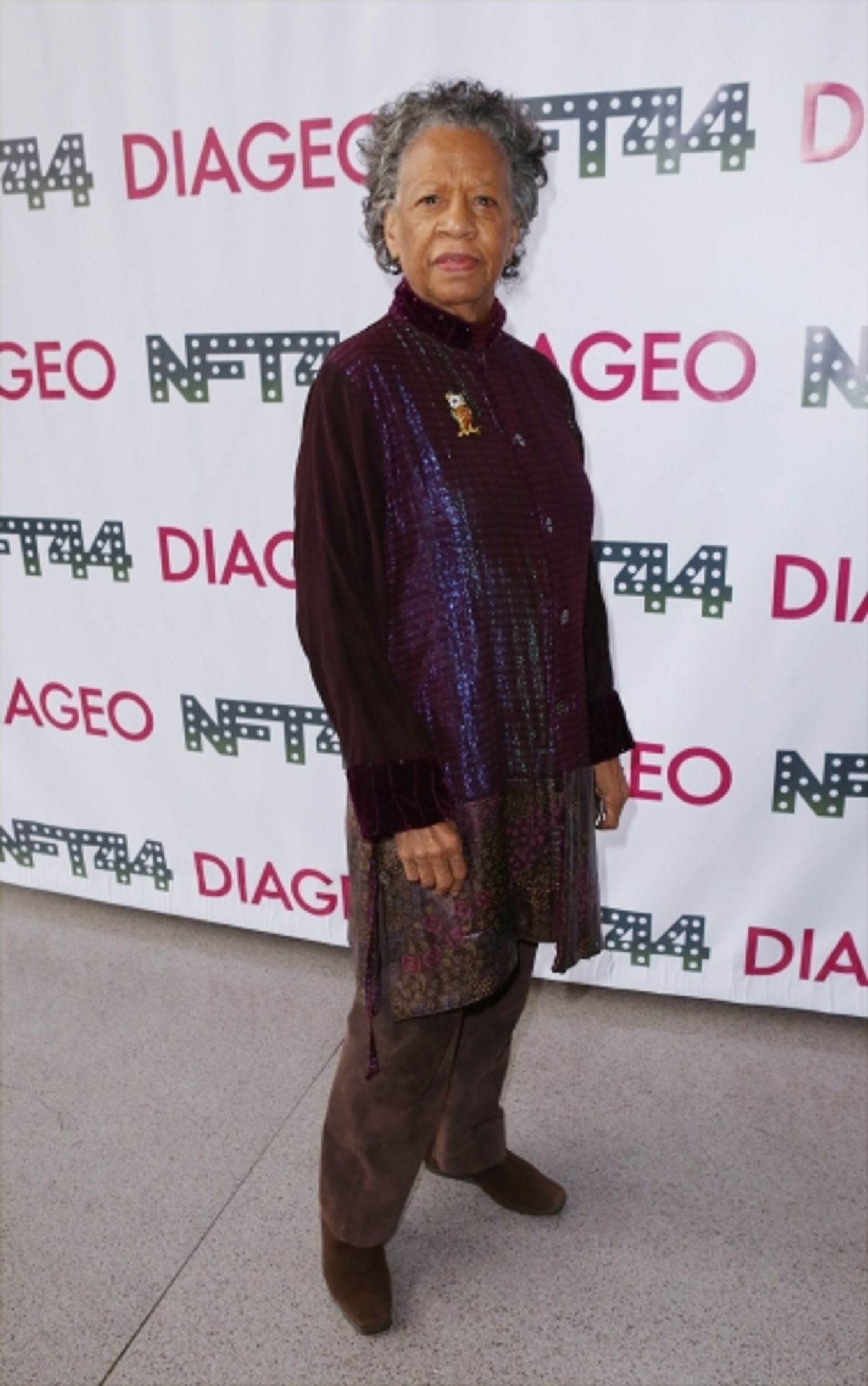 Photo Coverage: On the Red Carpet at the New Federal Theatre's 44th Anniversary Gala  Image