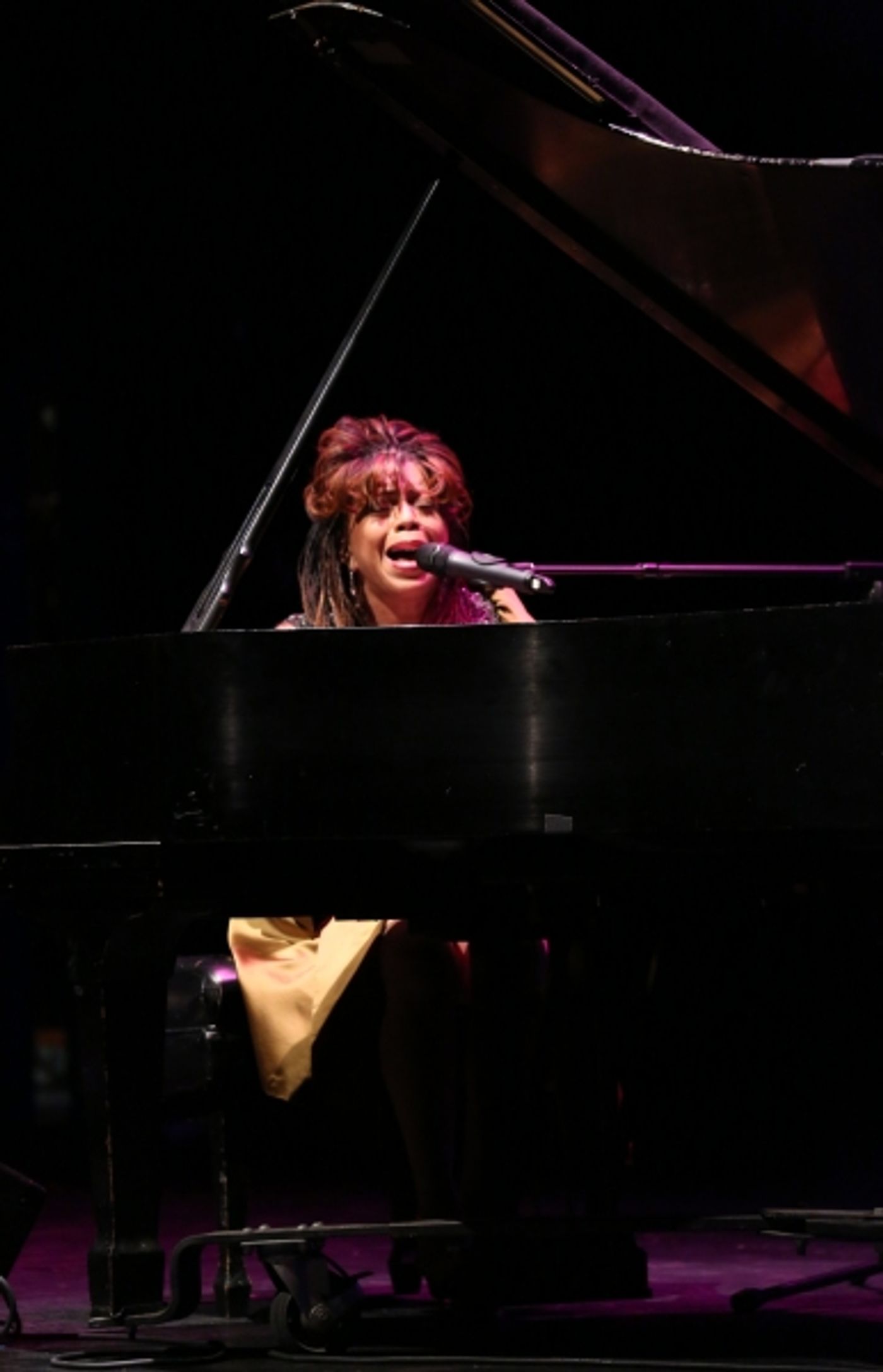 Photo Coverage: New Federal Theatre Honors Voza Rivers - Part Two  Image