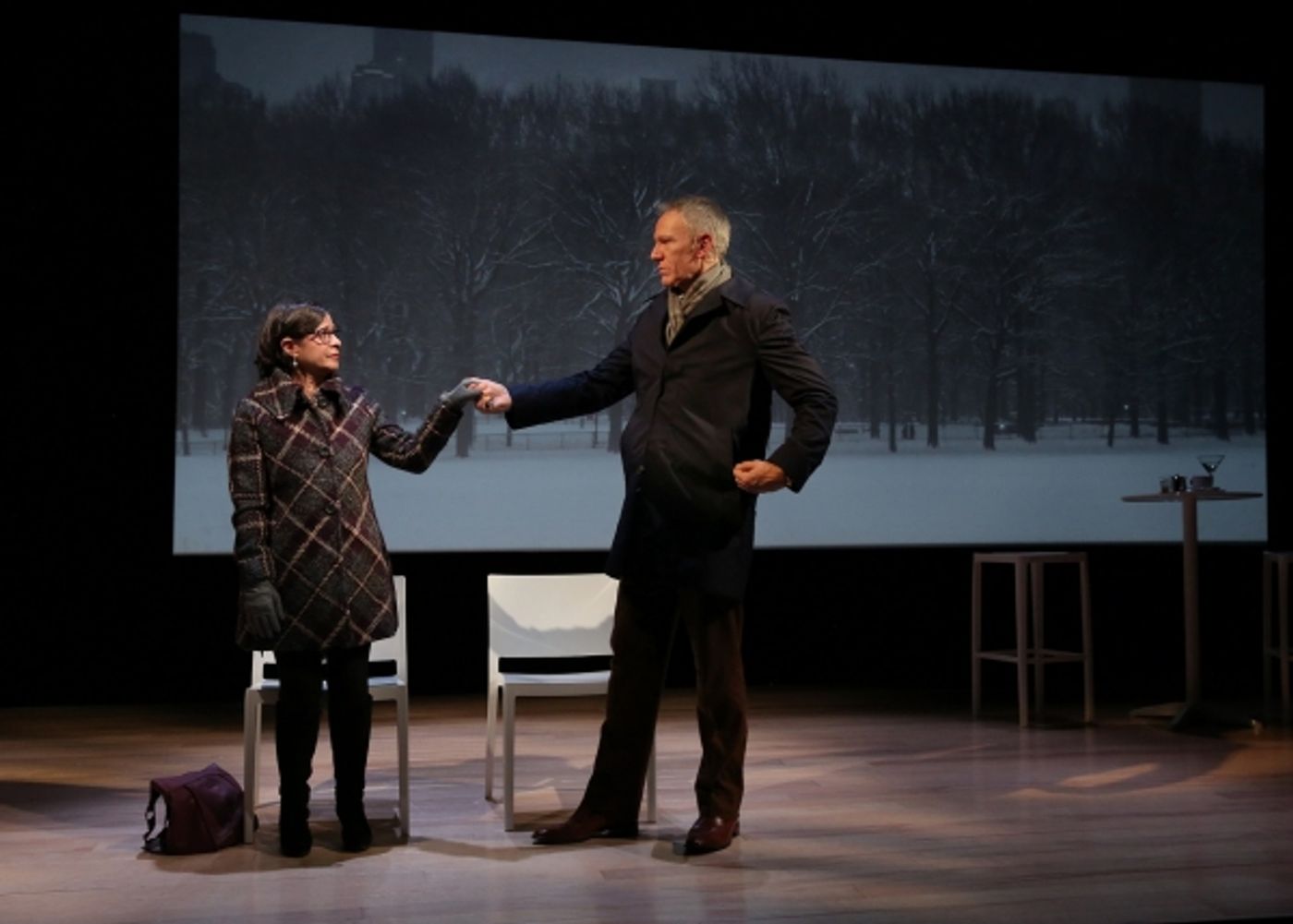 Photo Flash: First Look at Public Theater's A SECOND CHANCE  Image