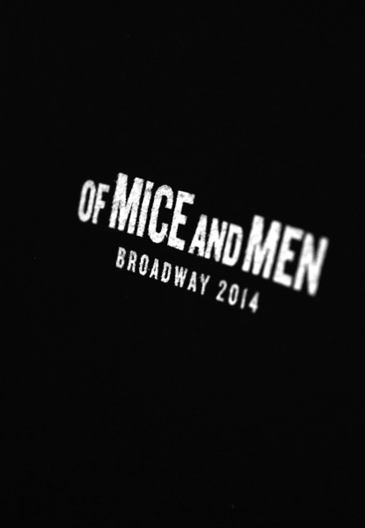Photo Coverage: James Franco, Chris O'Dowd & Leighton Meester Take First Bows in OF MICE AND MEN Photo Coverage: James Franco, Chris O'Dowd & Leighton Meester Take First Bows in OF MICE AND MEN Image