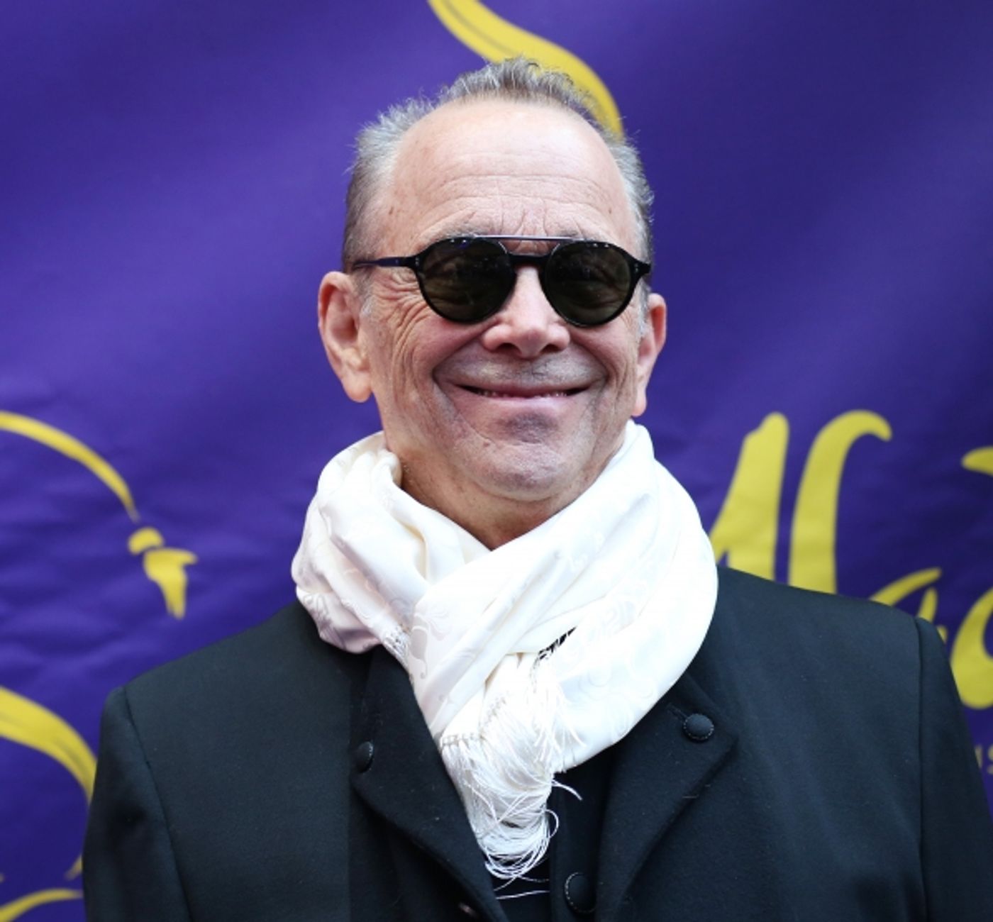 Photo Coverage: Inside ALADDIN's Opening Night Theatre Arrivals!  Image