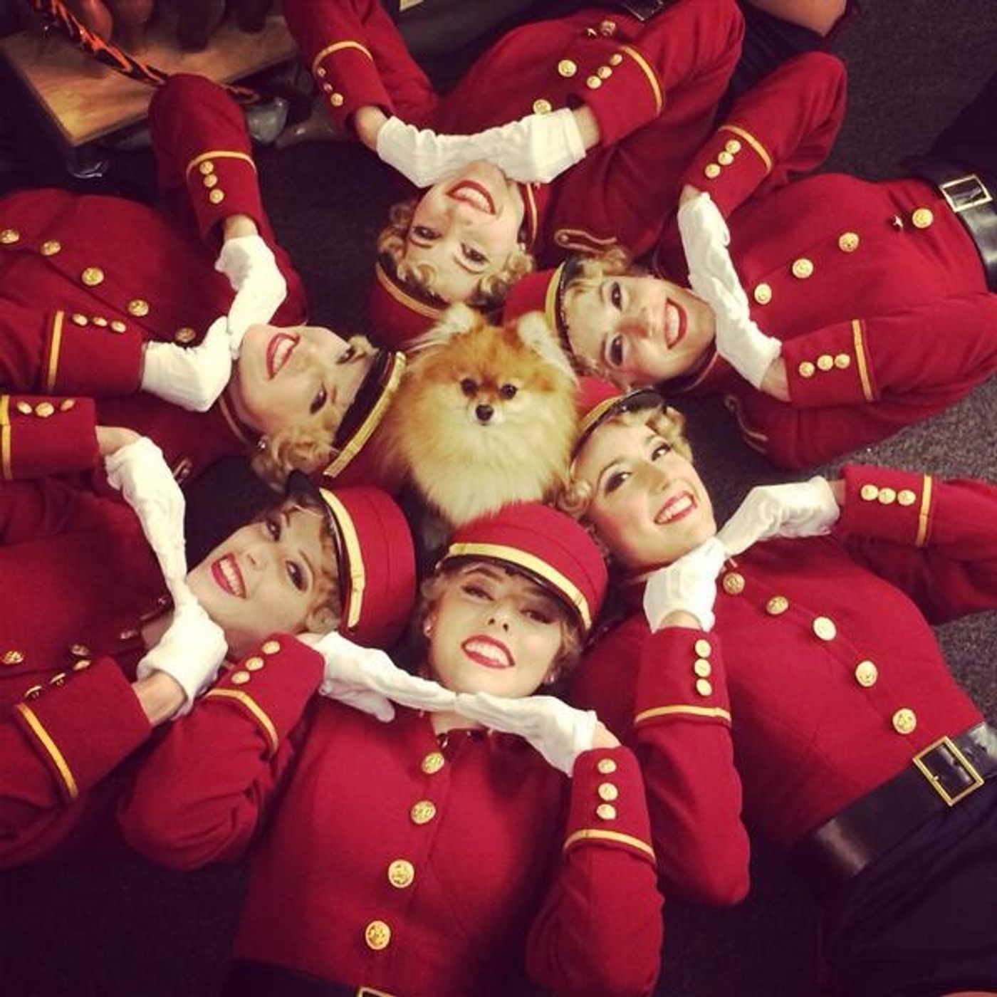 Photo Flash: Saturday Intermission Pics, 3/22, Part 2- Dogs Get in on the Action, Off-Broadway's BARDY BUNCH 1st SIP, and More! Photo Flash: Saturday Intermission Pics, 3/22, Part 2- Dogs Get in on the Action, Off-Broadway's BARDY BUNCH 1st SIP, and More! Image