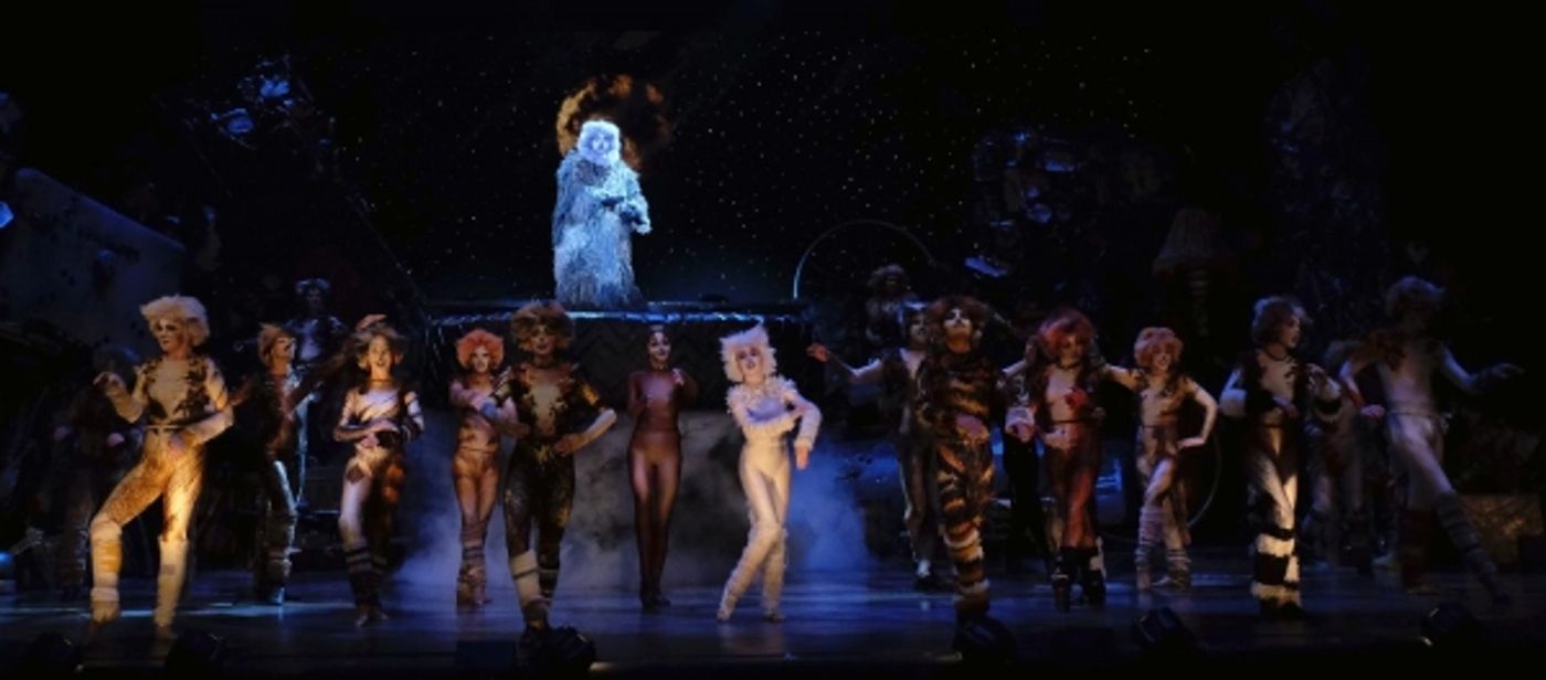 Photo Flash: First Look at San Diego Musical Theatre's CATS  Image