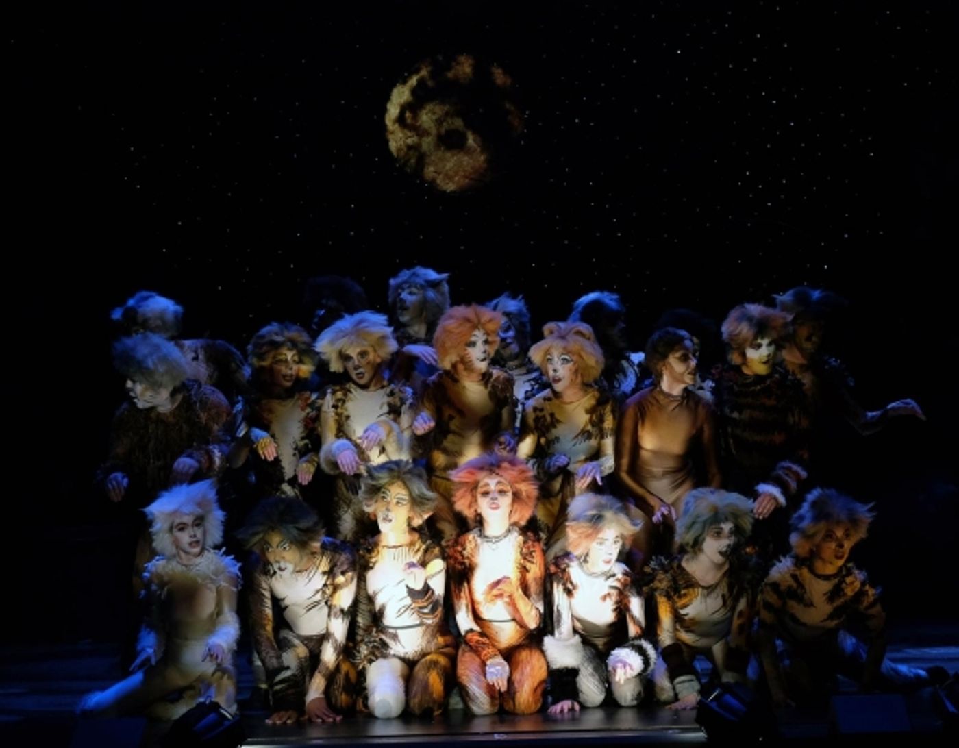 Photo Flash: First Look at San Diego Musical Theatre's CATS  Image