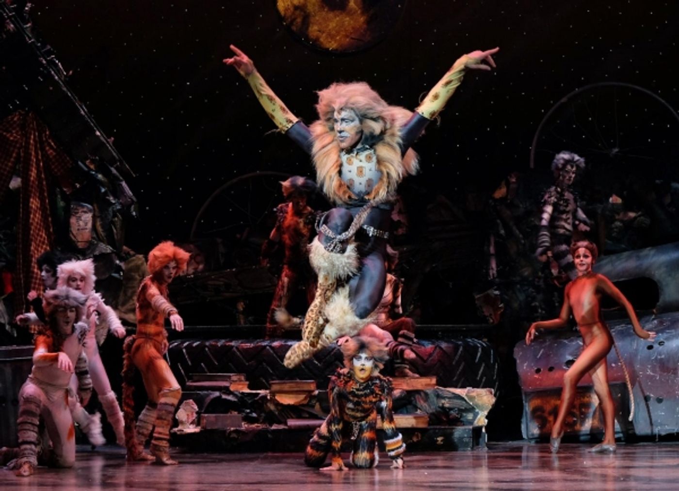 Photo Flash: First Look at San Diego Musical Theatre's CATS  Image