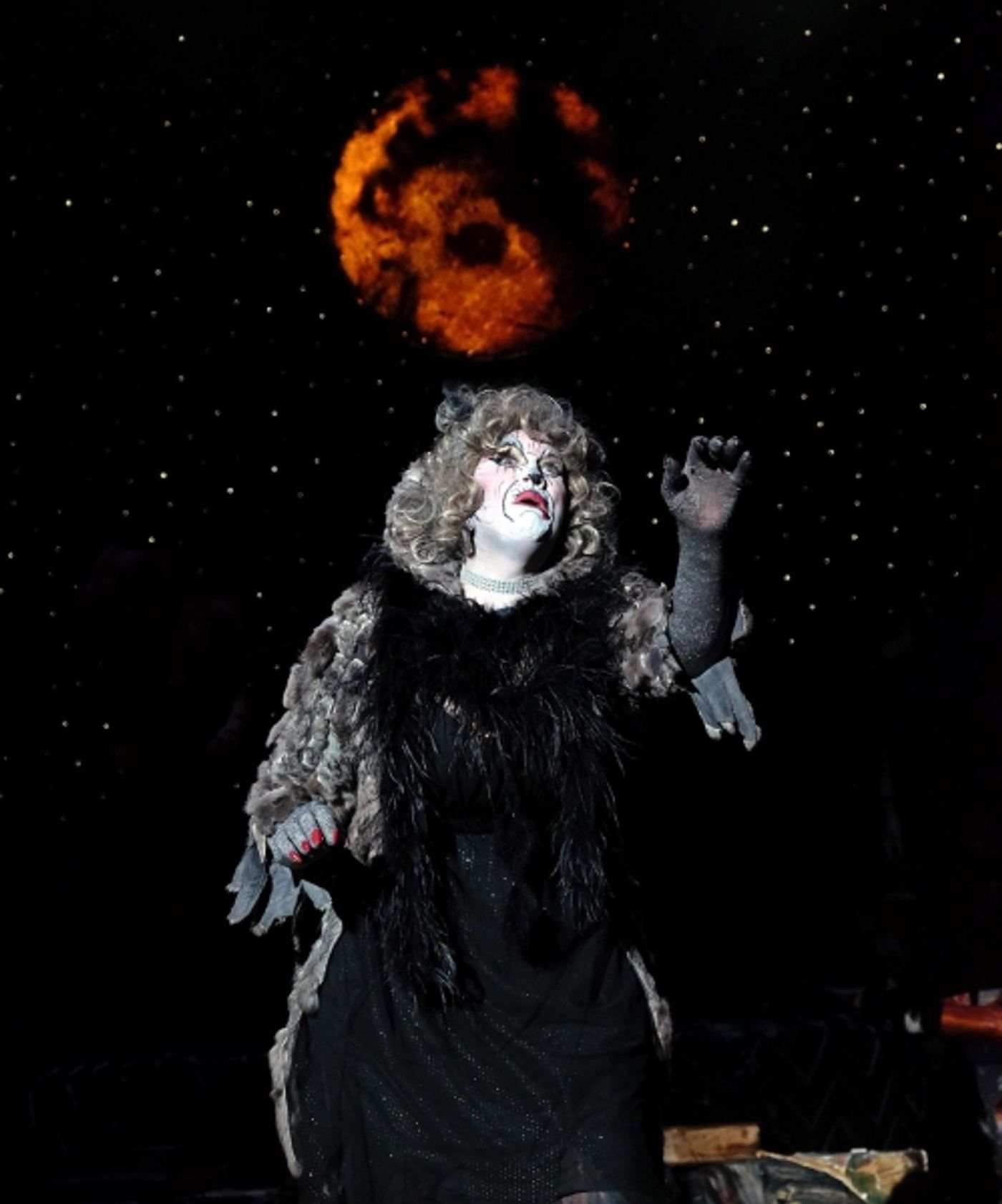 Photo Flash: First Look at San Diego Musical Theatre's CATS  Image