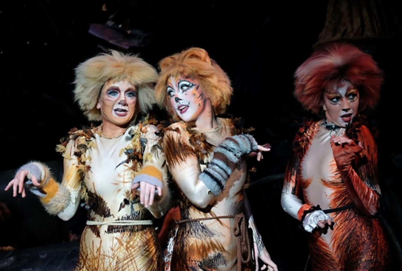 Photo Flash: First Look at San Diego Musical Theatre's CATS  Image