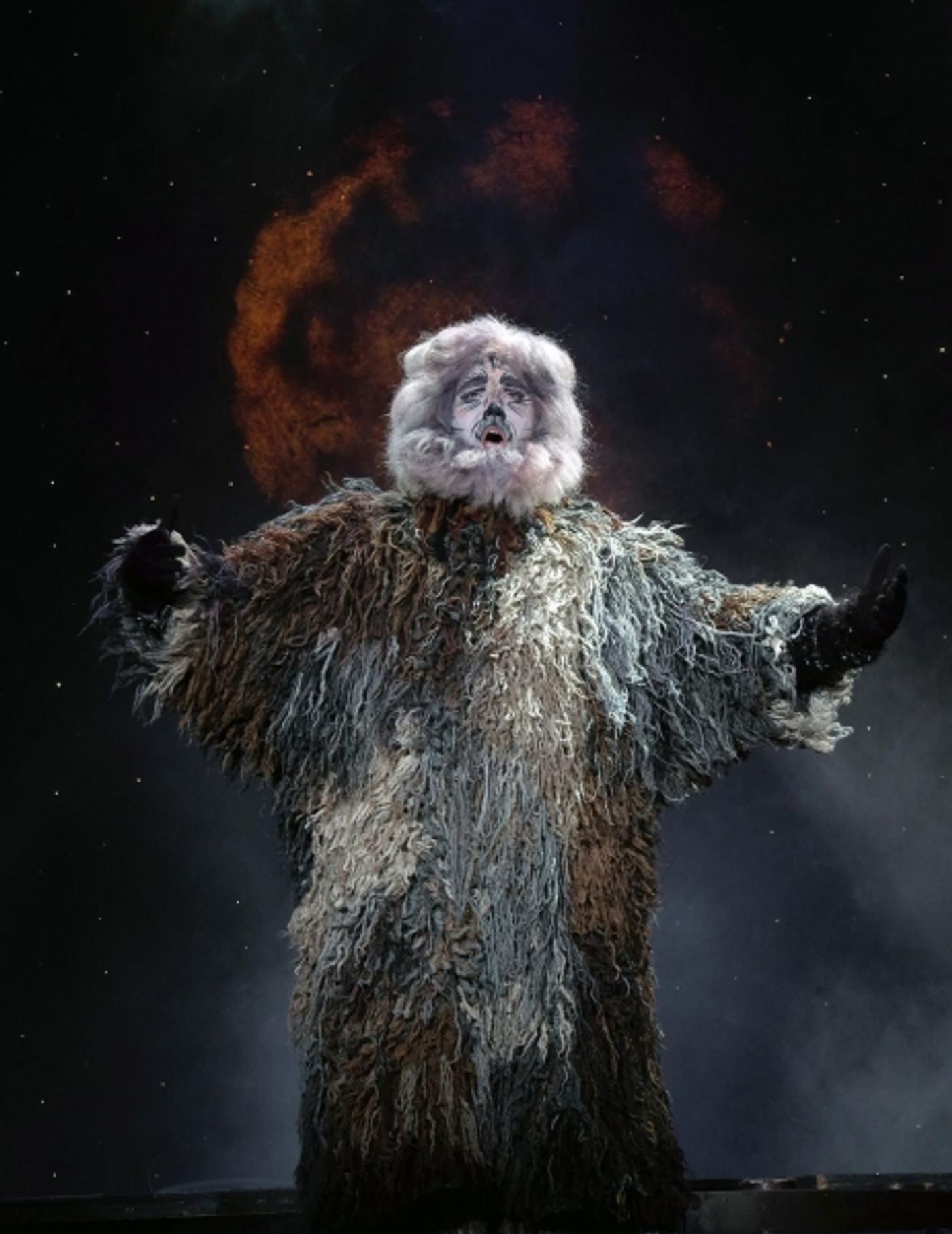 Photo Flash: First Look at San Diego Musical Theatre's CATS  Image