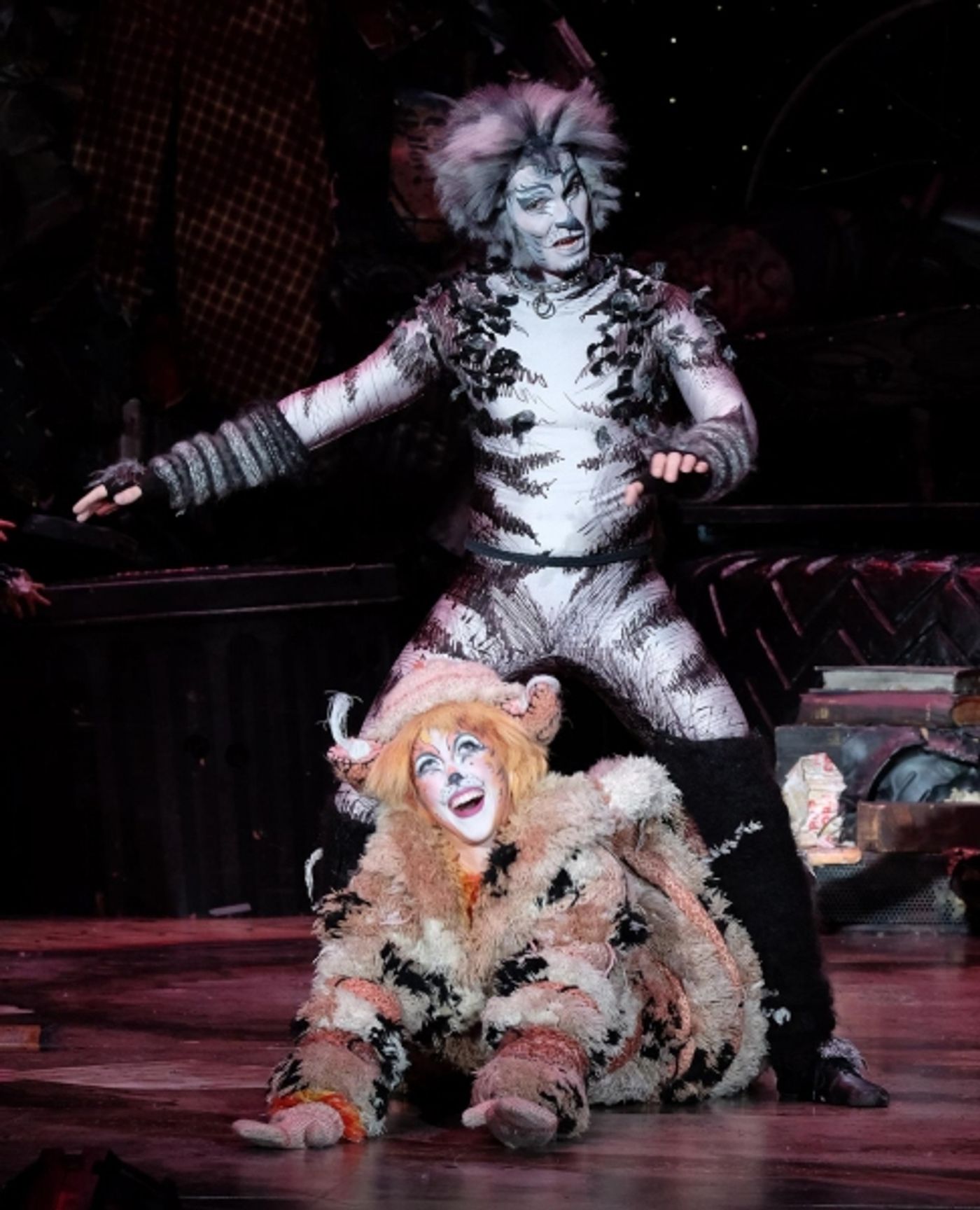 Photo Flash: First Look at San Diego Musical Theatre's CATS  Image