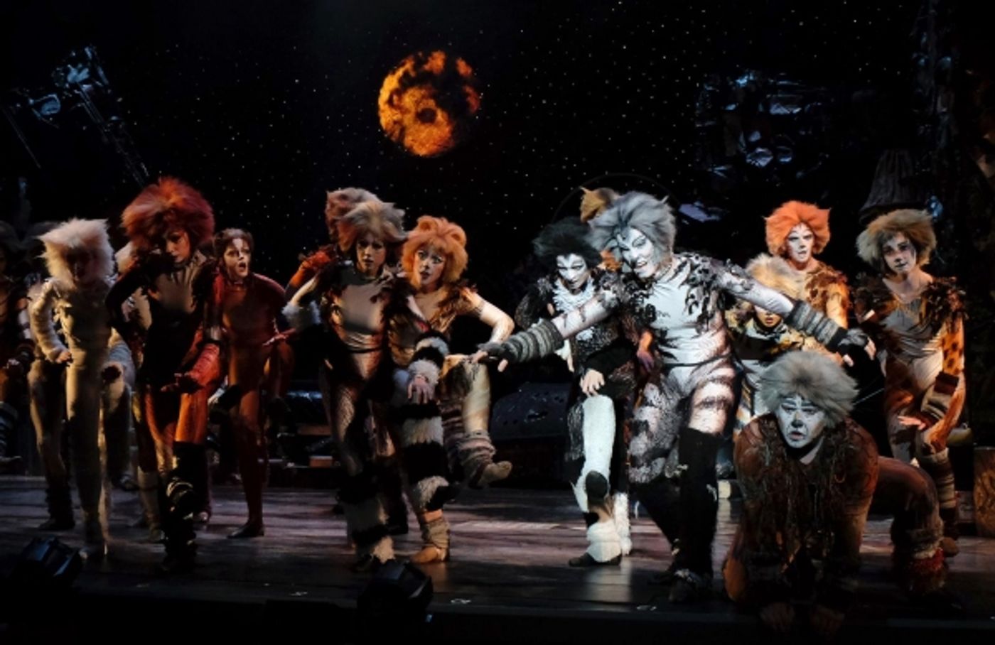 Photo Flash: First Look at San Diego Musical Theatre's CATS  Image