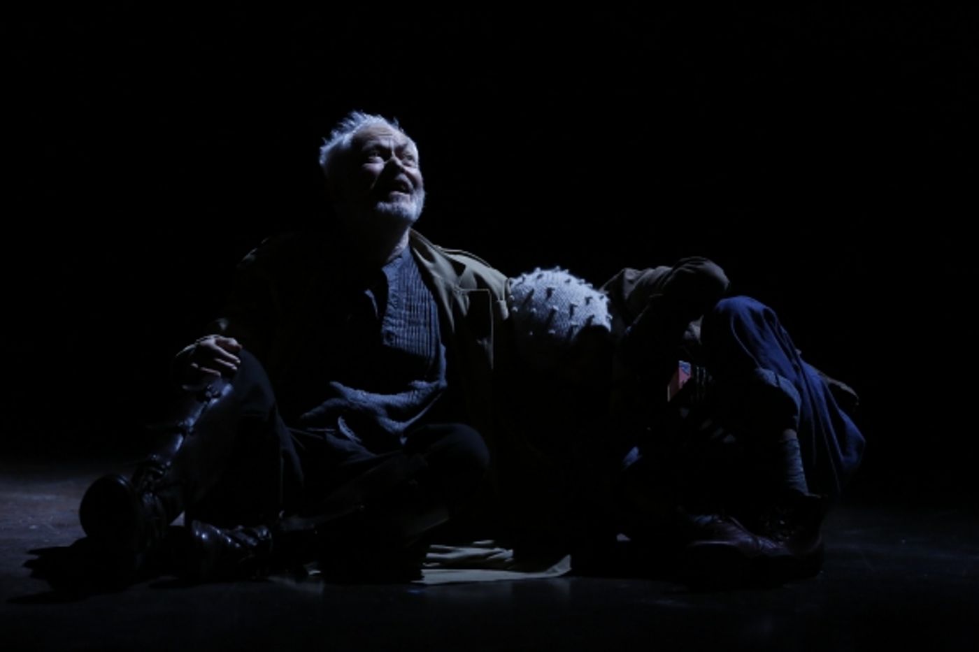Photo Flash: First Look at Michael Pennington and More in KING LEAR at Theater for a New Audience  Image