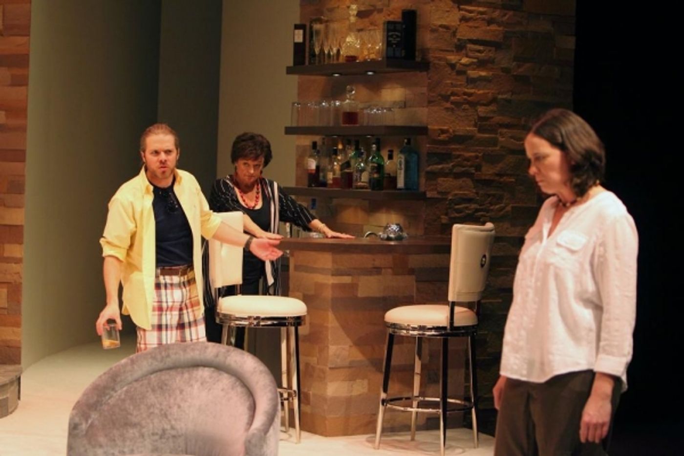 Photo Flash: First Look at Human Race Theatre's OTHER DESERT CITIES, Beg. Tonight Photo Flash: First Look at Human Race Theatre's OTHER DESERT CITIES, Beg. Tonight Image