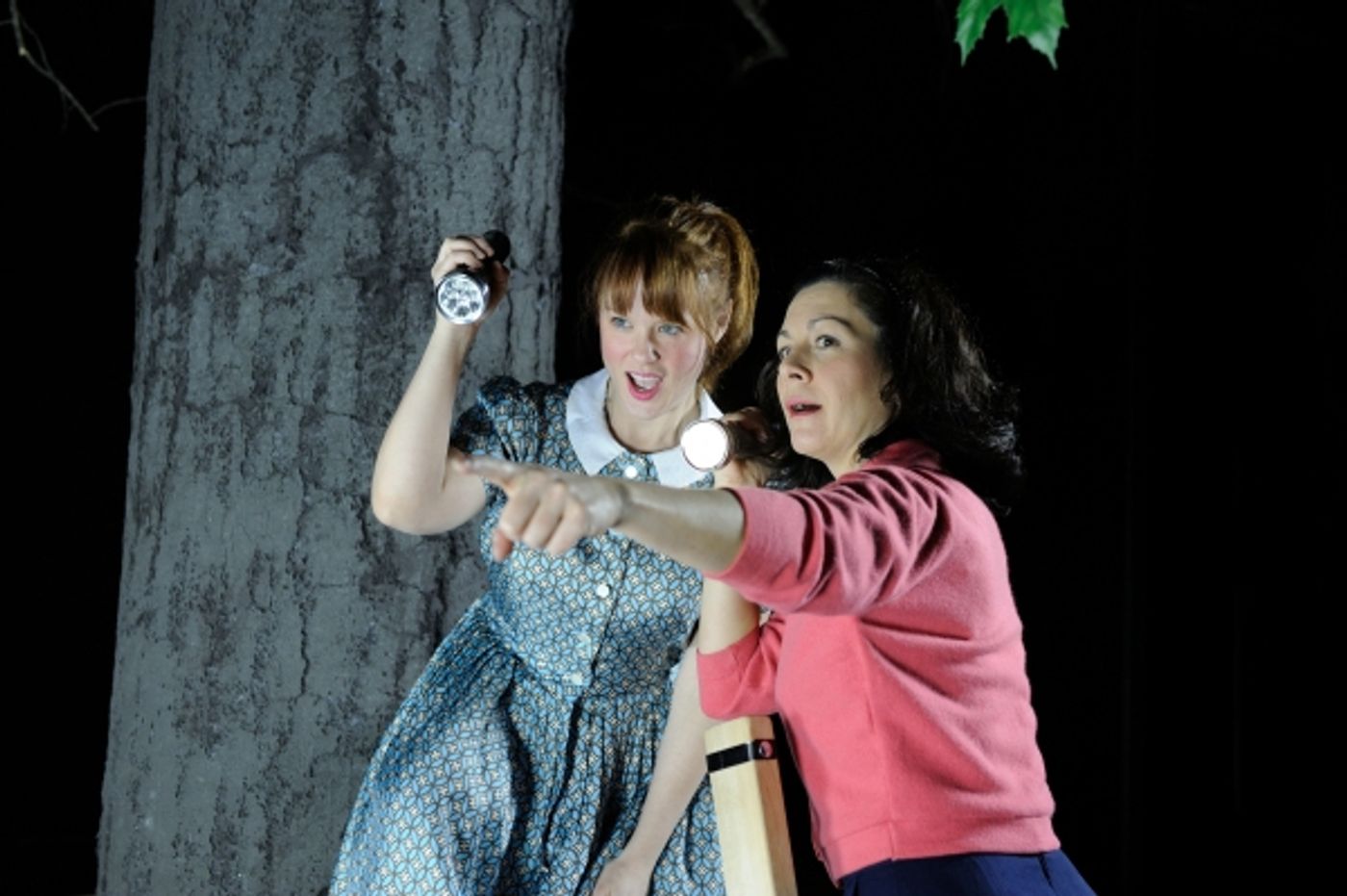 Photo Flash: Meet the Cast of Trinity Rep's World Premiere of VERONICA MEADOWS  Image