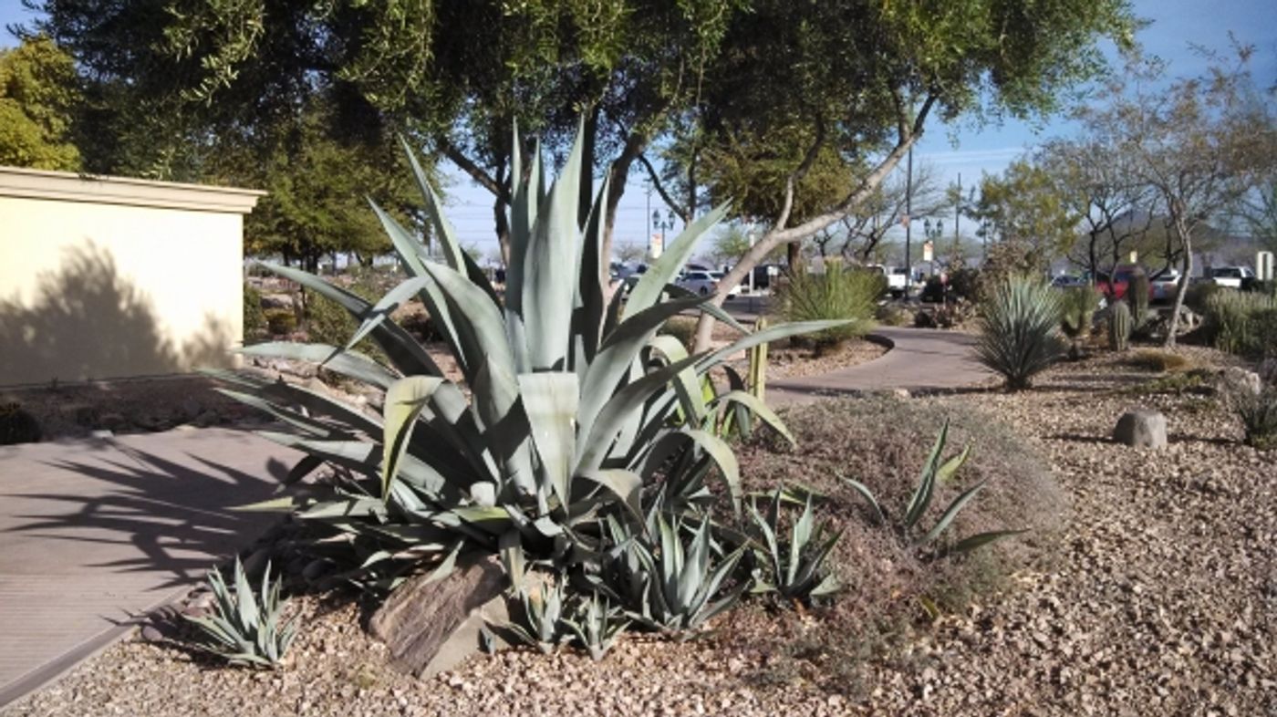 Photo Coverage: THE HIGH CHAPARRAL TV Reunion 2014  Image