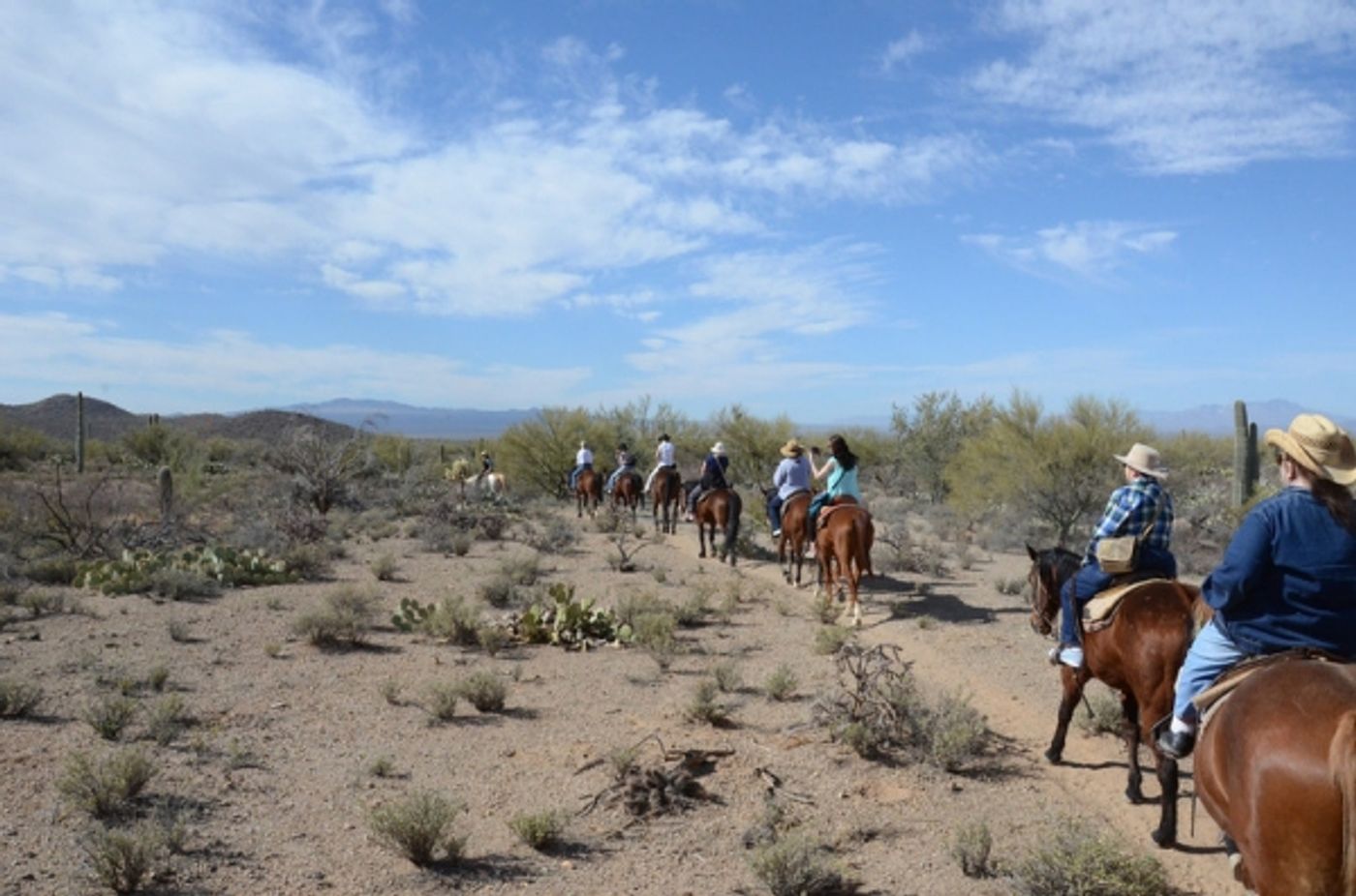 Photo Coverage: THE HIGH CHAPARRAL TV Reunion 2014  Image