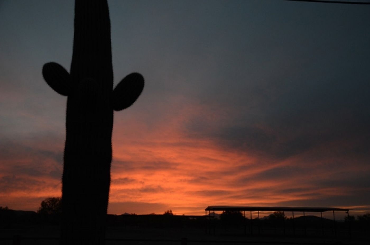 Photo Coverage: THE HIGH CHAPARRAL TV Reunion 2014  Image