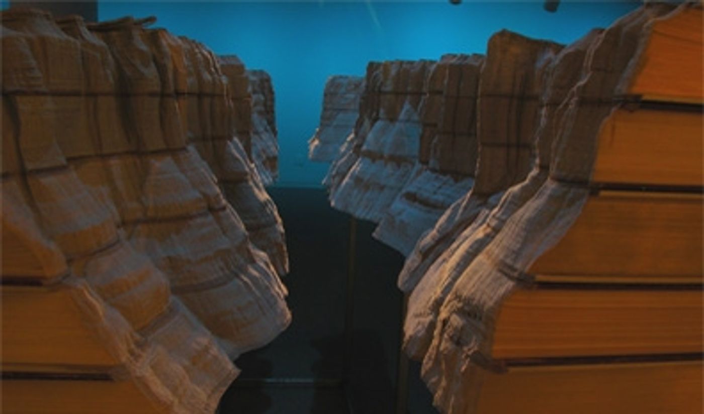 Photo Flash: Sneak Peek - Mesa Contemporary Arts Museum's Five Exhibitions by Emerging and International Artists  Image